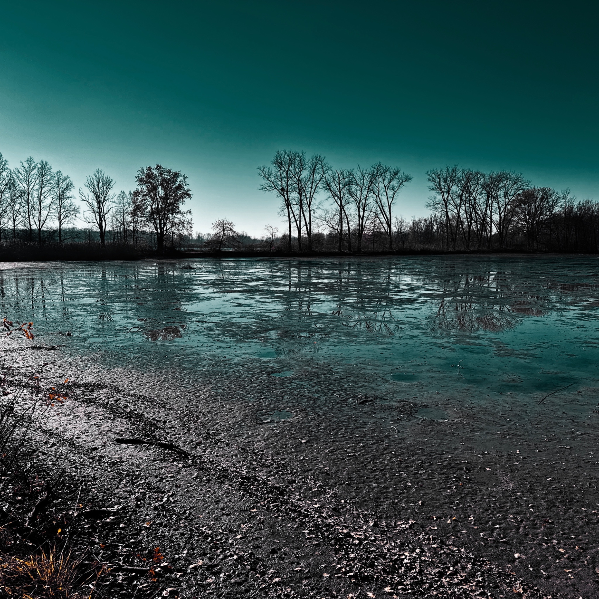 HMOriginal 11891E29 62C0 4EAC 9C83 724AF1327768