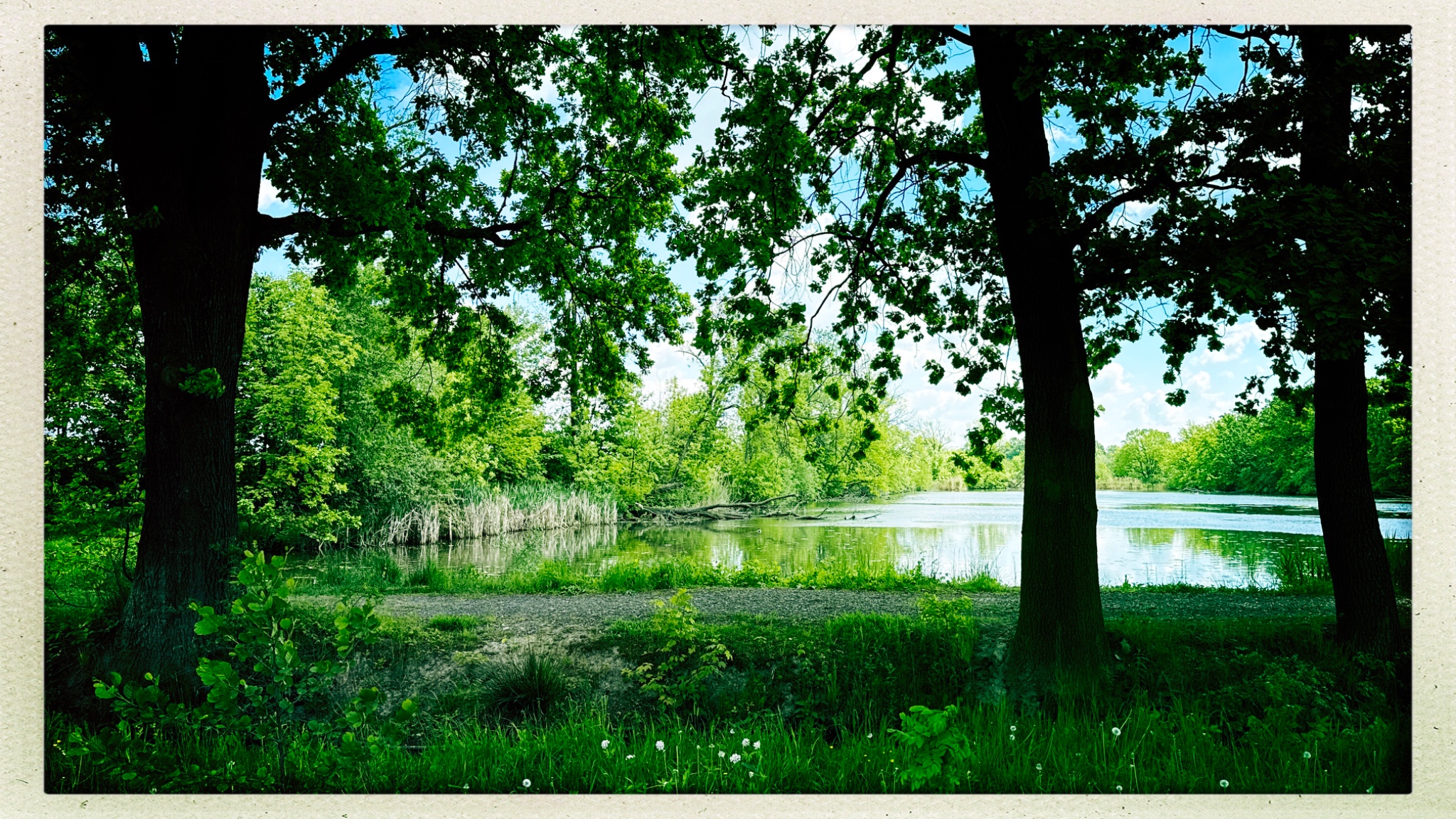 HipstamaticPhoto 768734392.050082