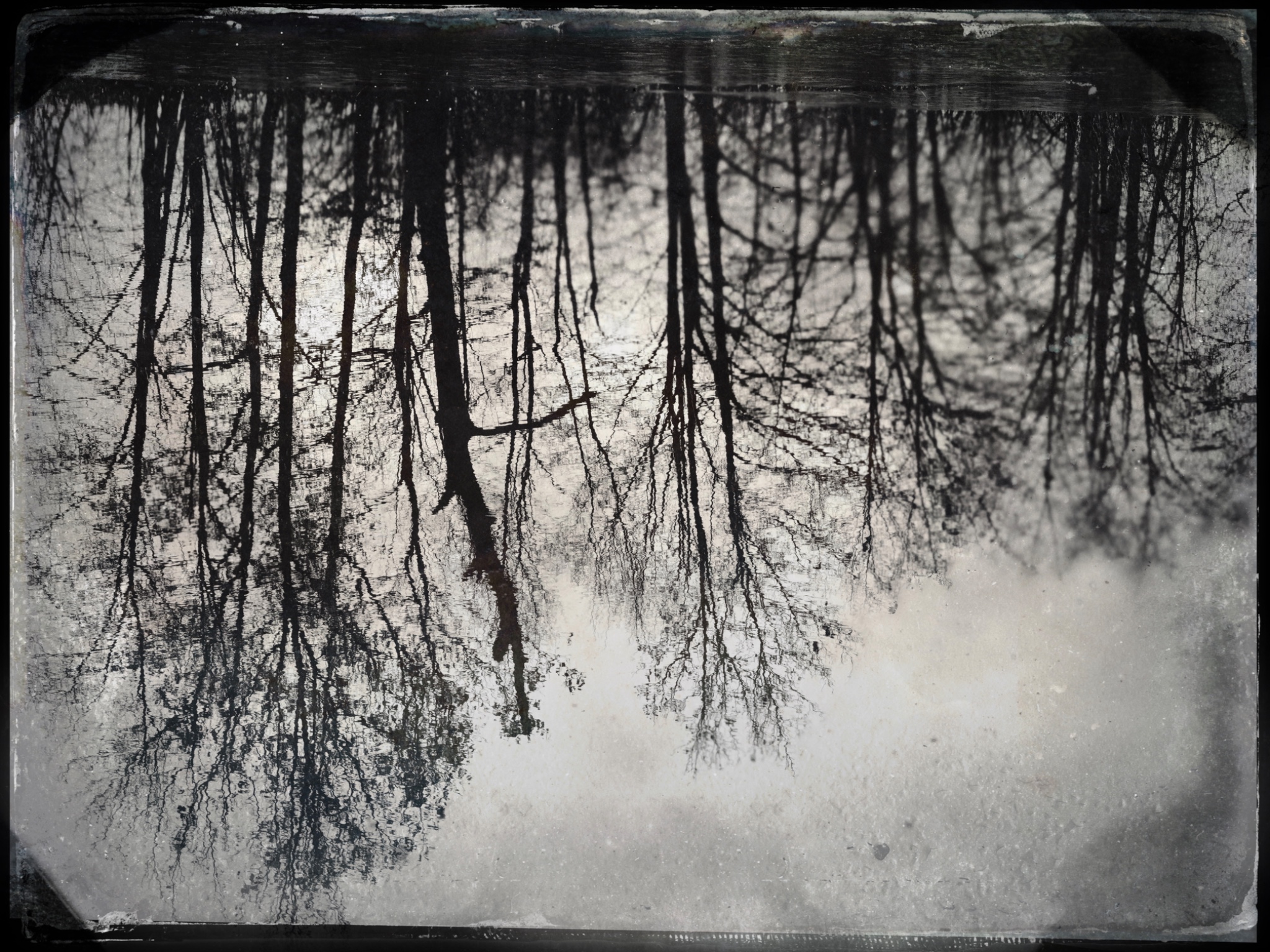 TTInputImage 754742337.977344