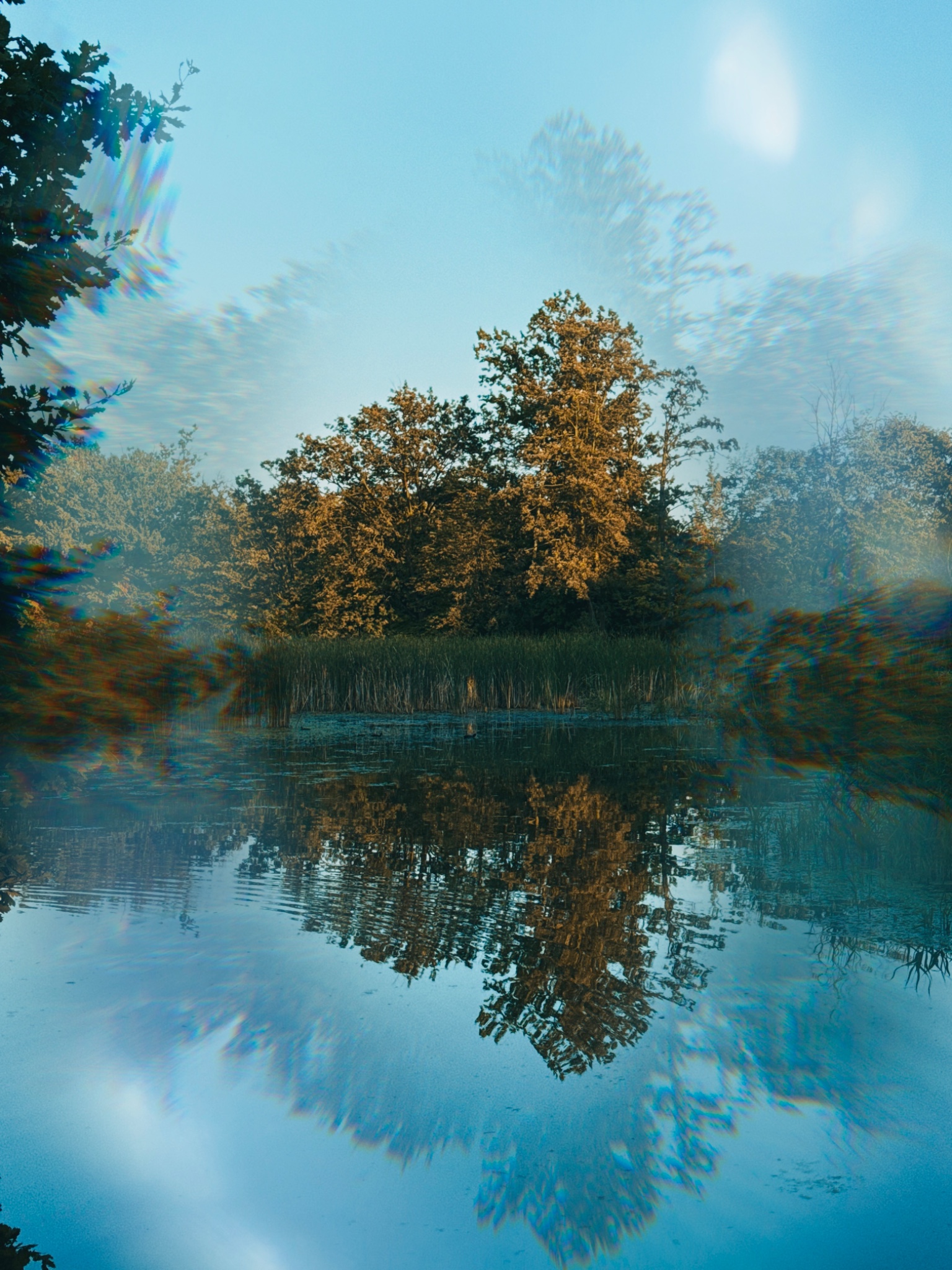 073EDA7D D473 45B3 8A96 B3E8041BD3BC