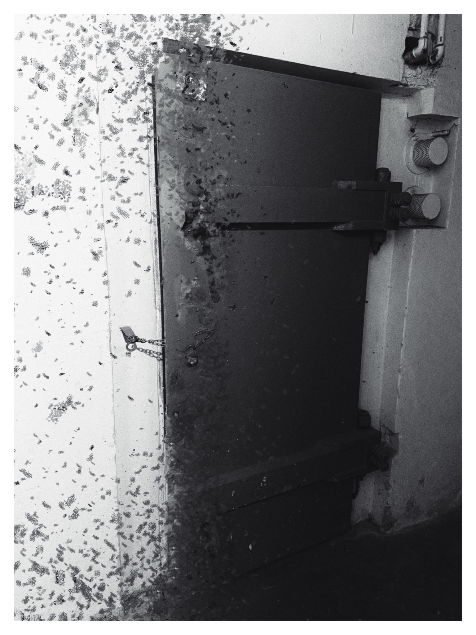 12E05B23 C980 4683 B59F A8E044A902AD