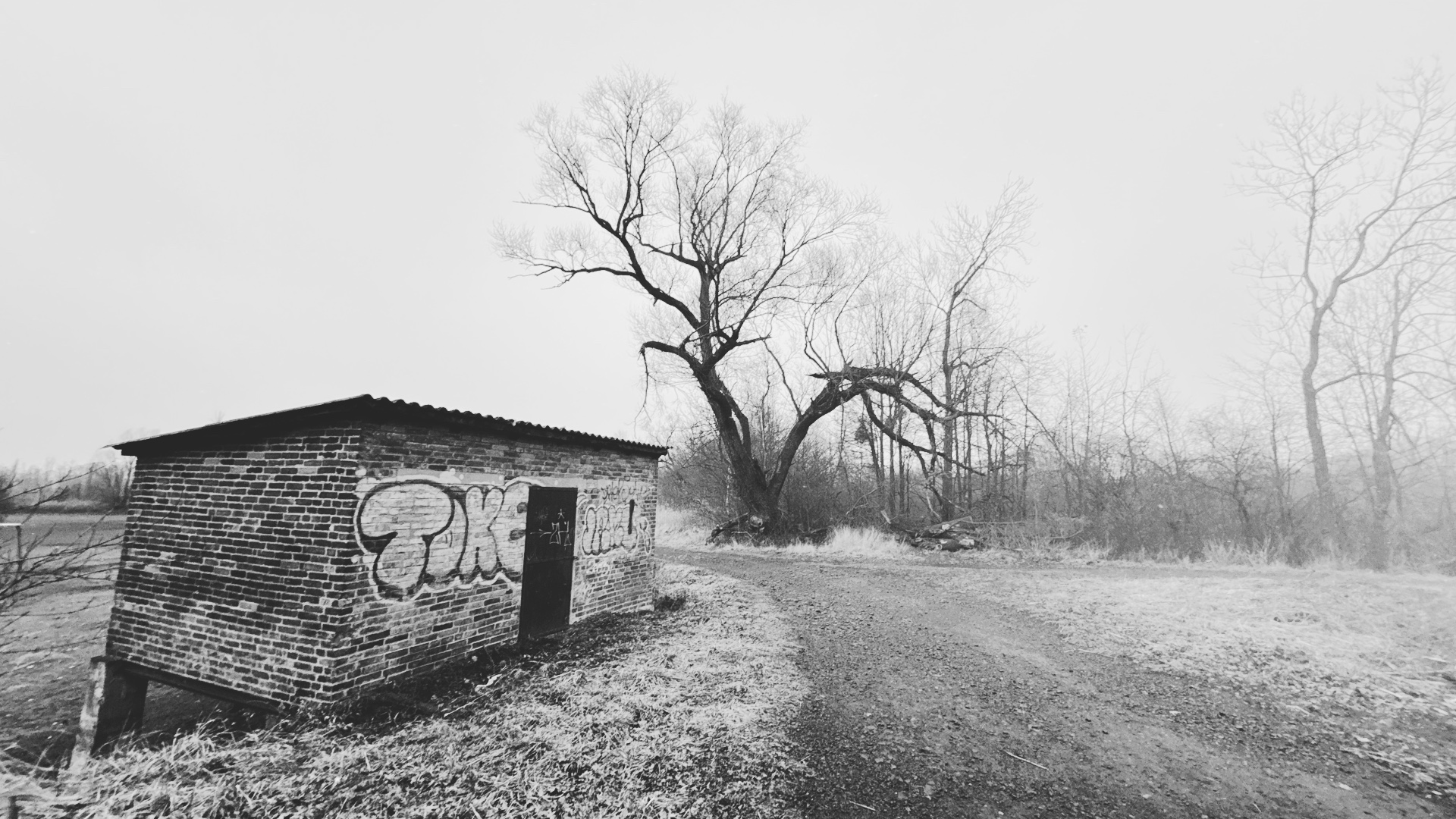 1740325821069 filtered