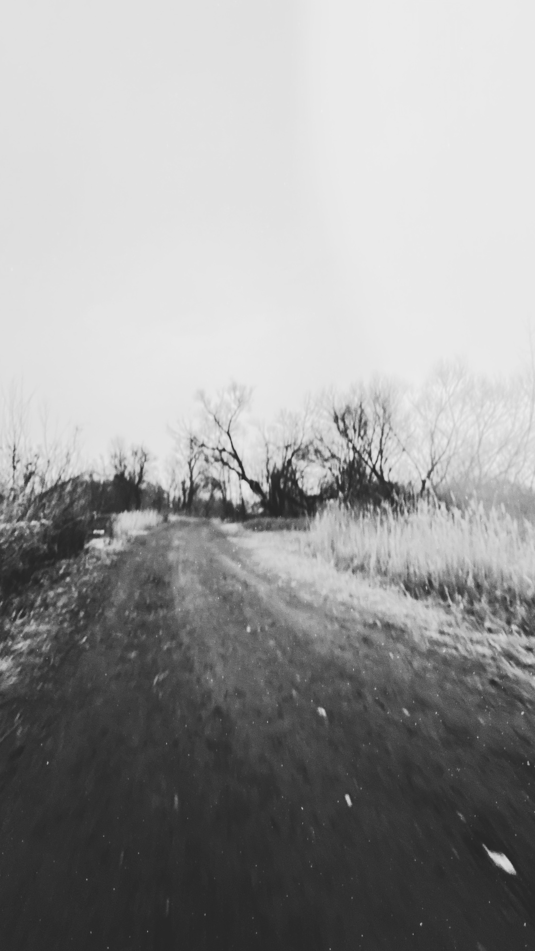 1740325860965 filtered