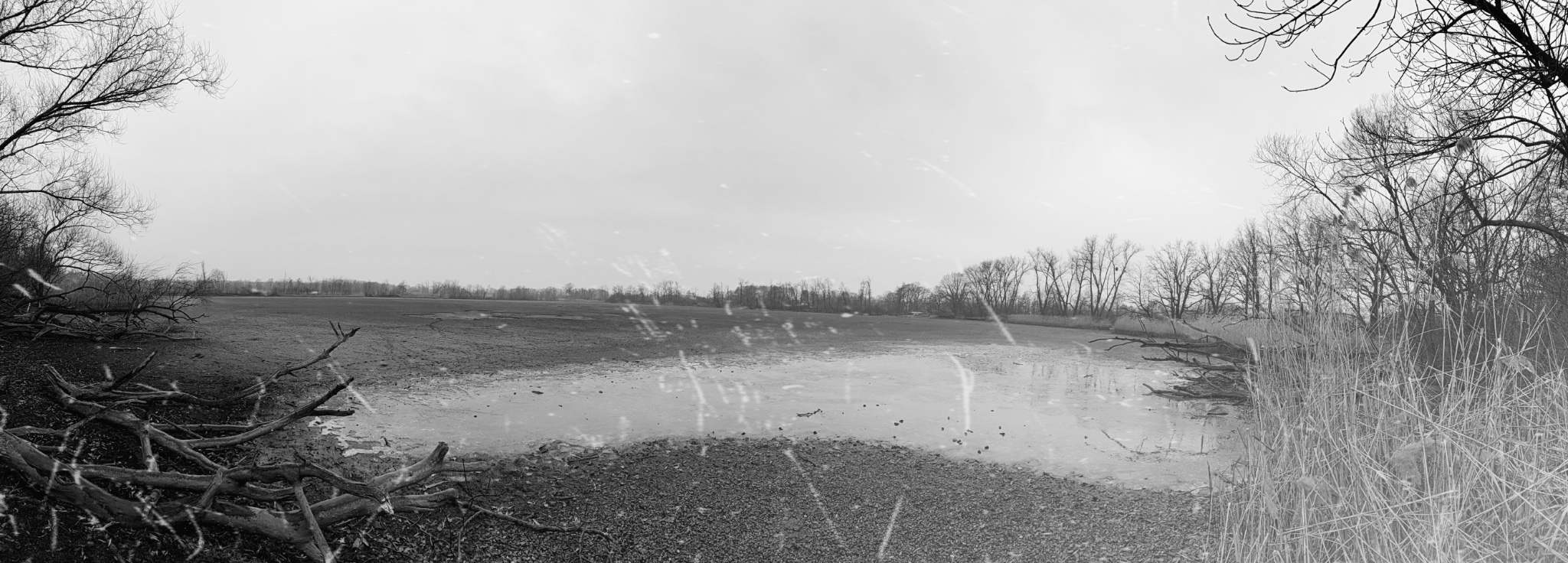 1740326131536 filtered