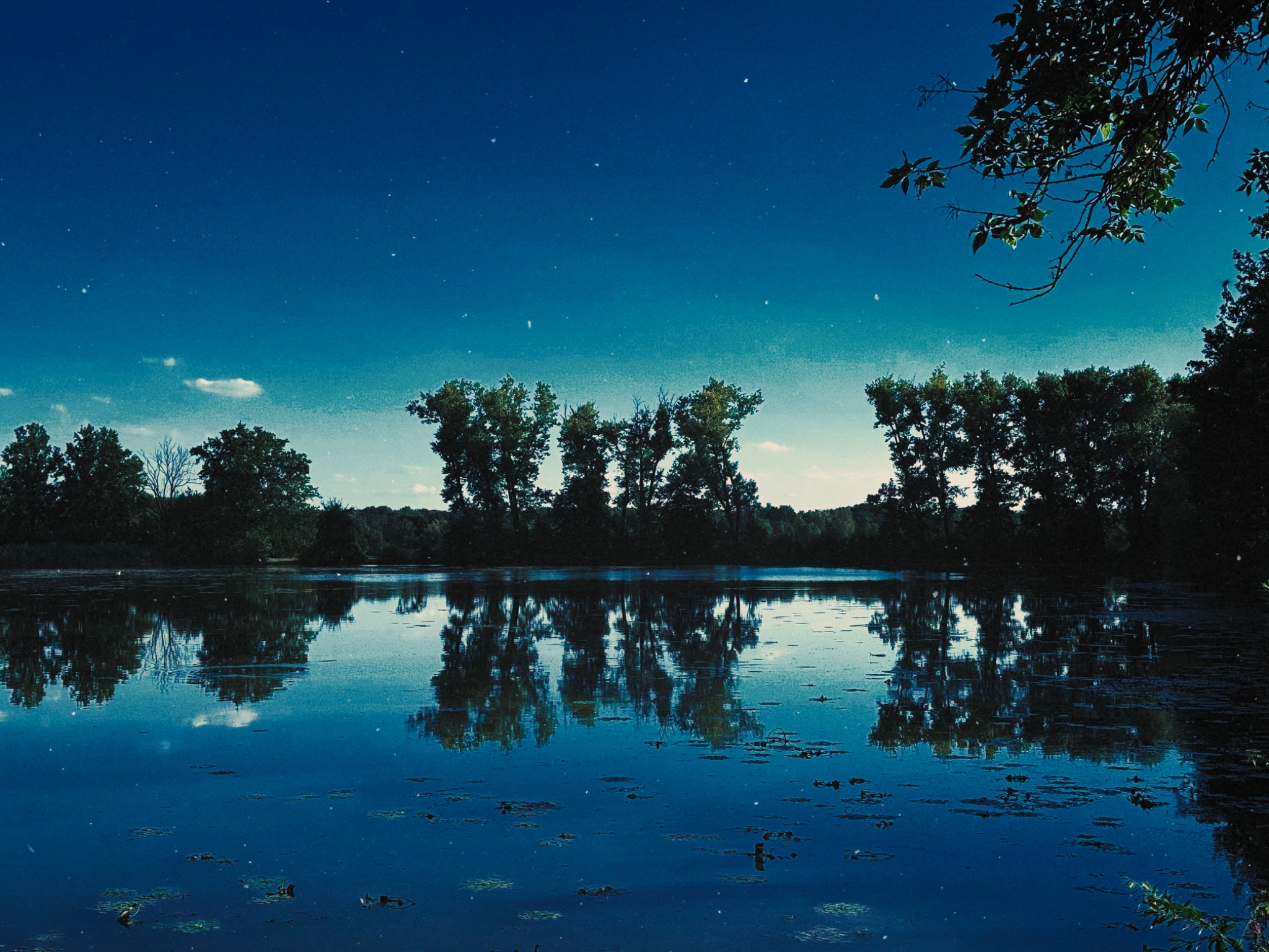 2D41432C 2A65 4AF3 AB24 BBE9919CAD05