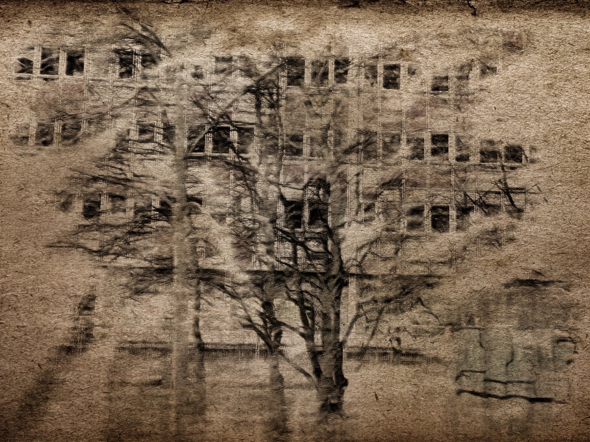 2DE96FE2 E48E 4925 B719 9D9116693DD9