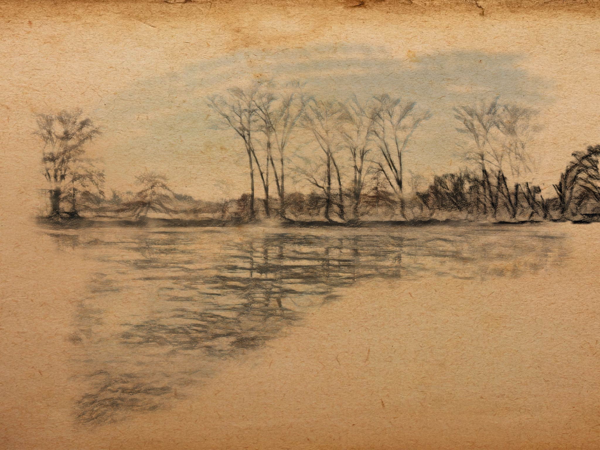 56DDCFC6 1D18 4CD3 B7B3 C2FC869FF83D