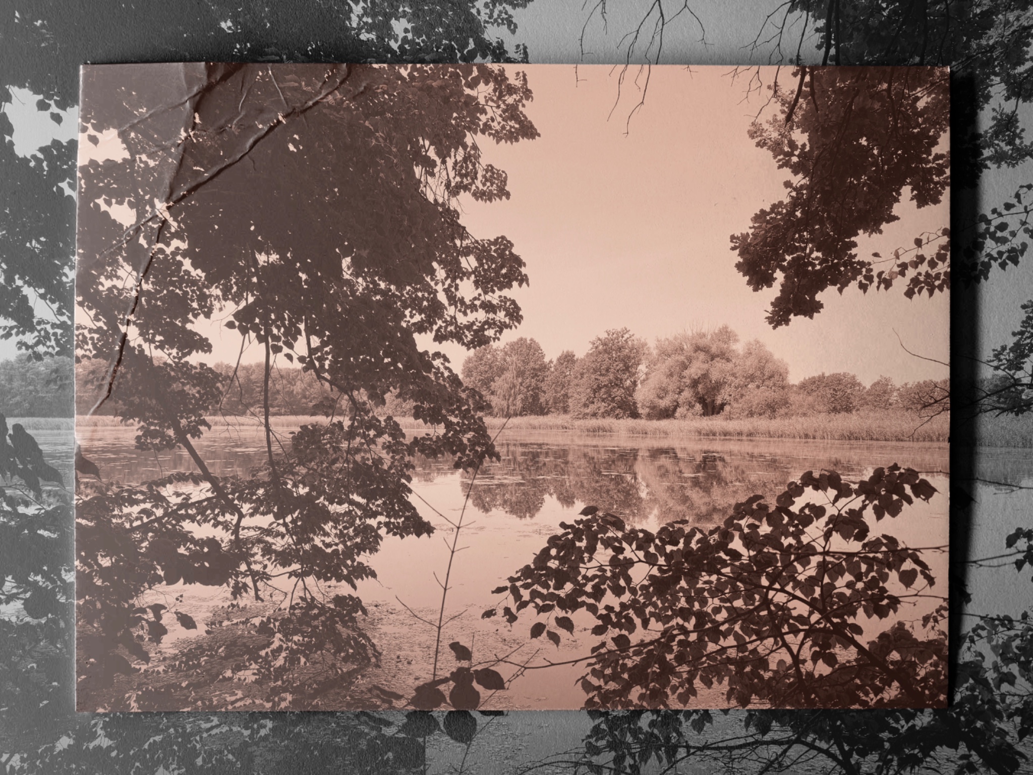 5826D389 A7E4 4B4D AE79 3A8C875F2B5A