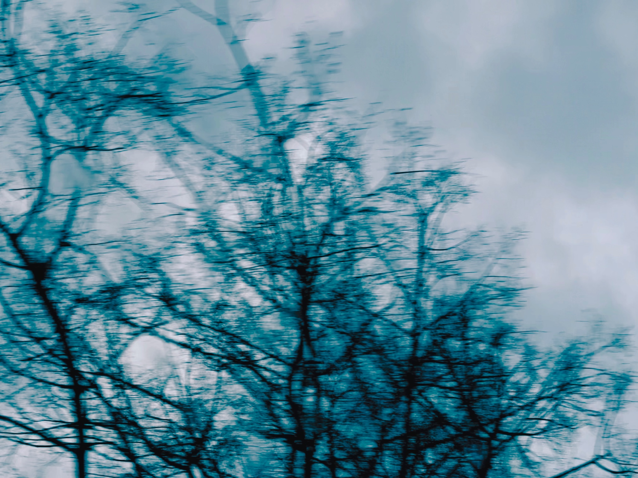 5A4F622D 76BA 4AB6 A722 847F6D5D0C1A