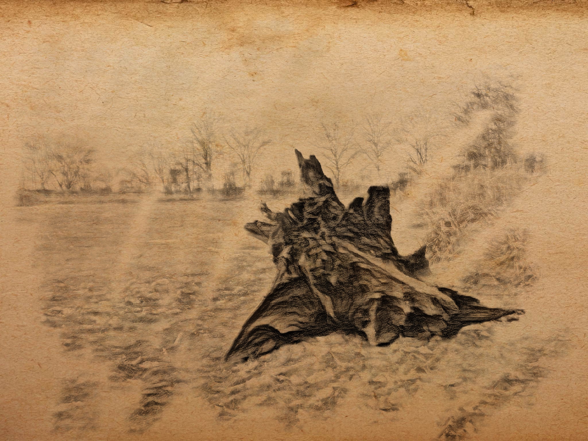 62E1FBE6 74E7 4787 945D BFC22D09B5D5