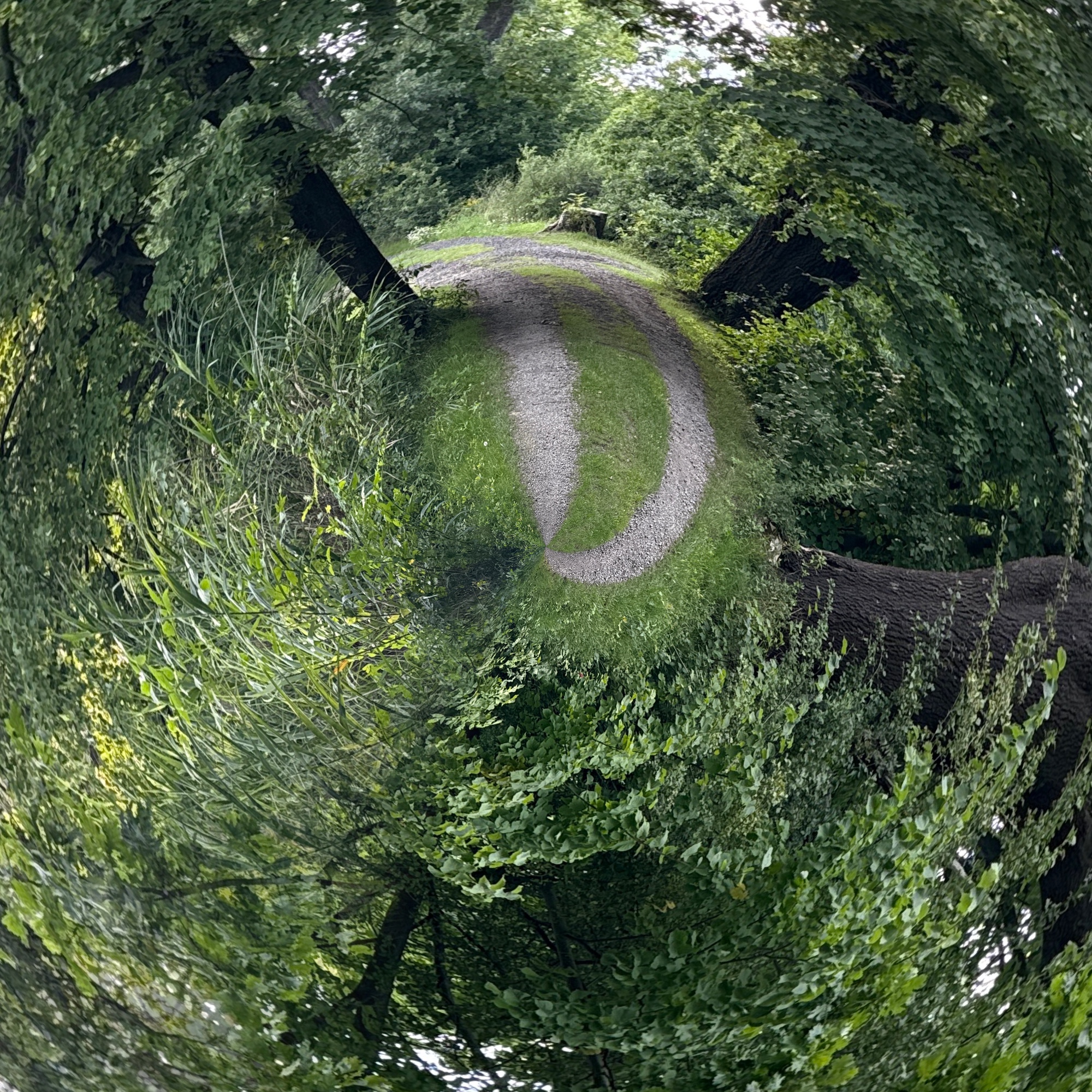 68C384B4 AA52 4560 AA23 BE071F375E7A