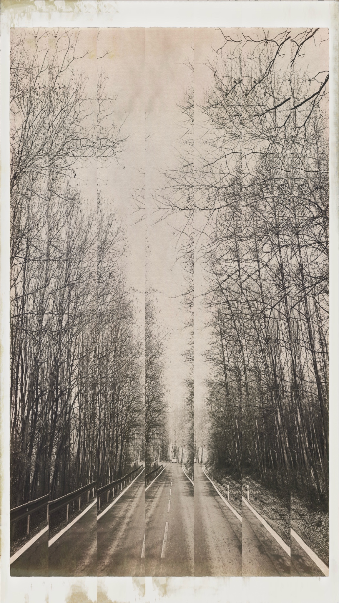 8CDD9012 9B1E 4BE3 BBEE 2E006E78DB15