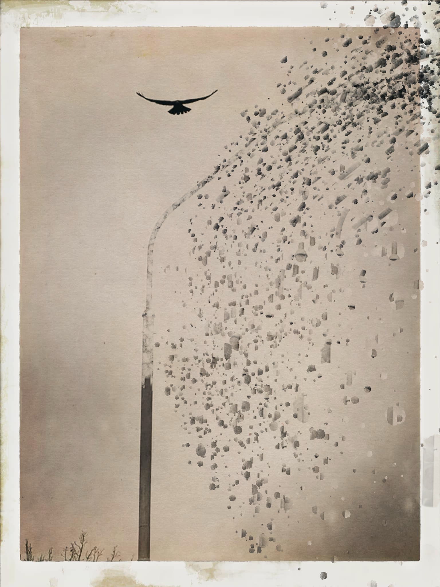 A481C588 EC94 4F07 B084 33546BBE713D