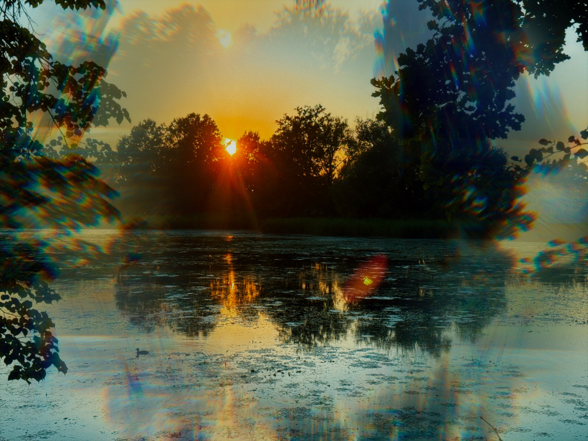 B49426CB 3BEF 41F8 9B12 16BA5BE99996