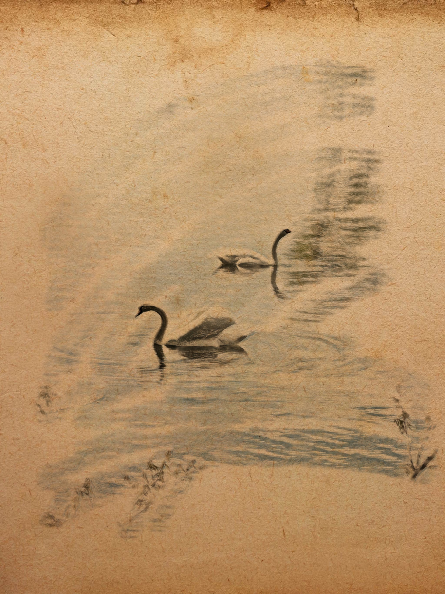 BBB39E44 B4E5 4FAF 9B3A 7B8B34A001C3