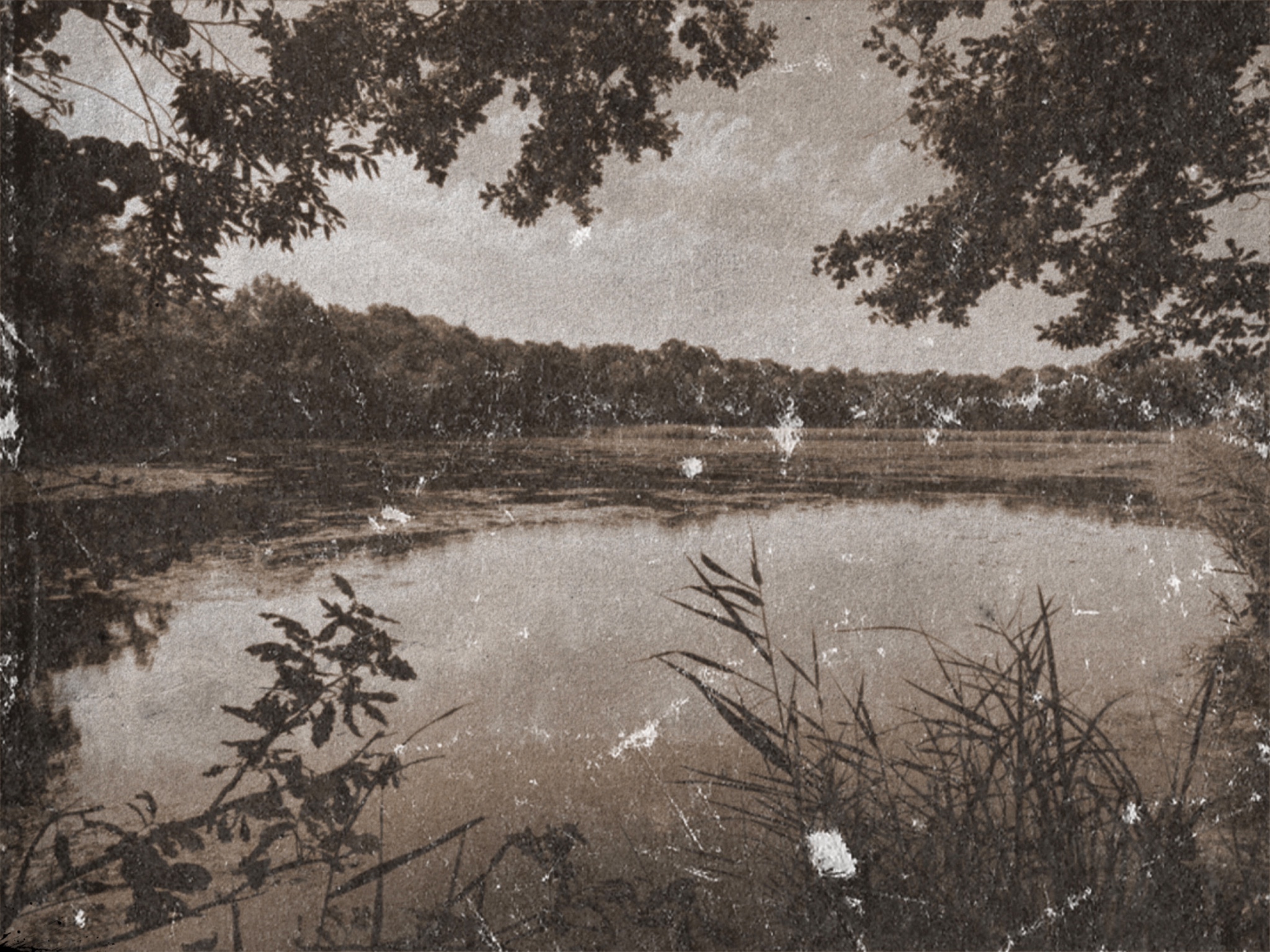 E6D0053C 29DE 4933 BAE7 692A7AE6574F