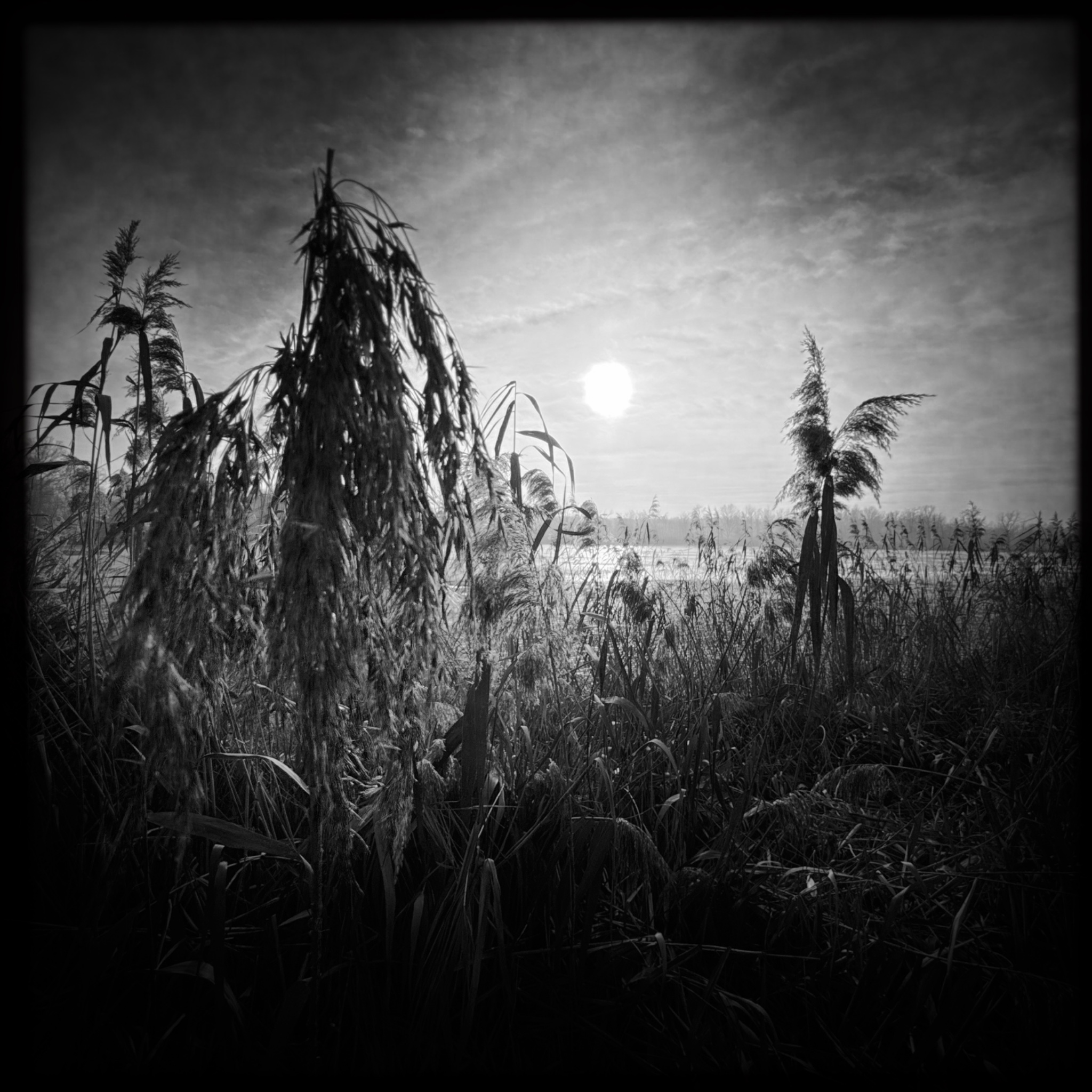 HMOriginal 009EC9F6 9D83 4DEC A876 0EBB63A61605