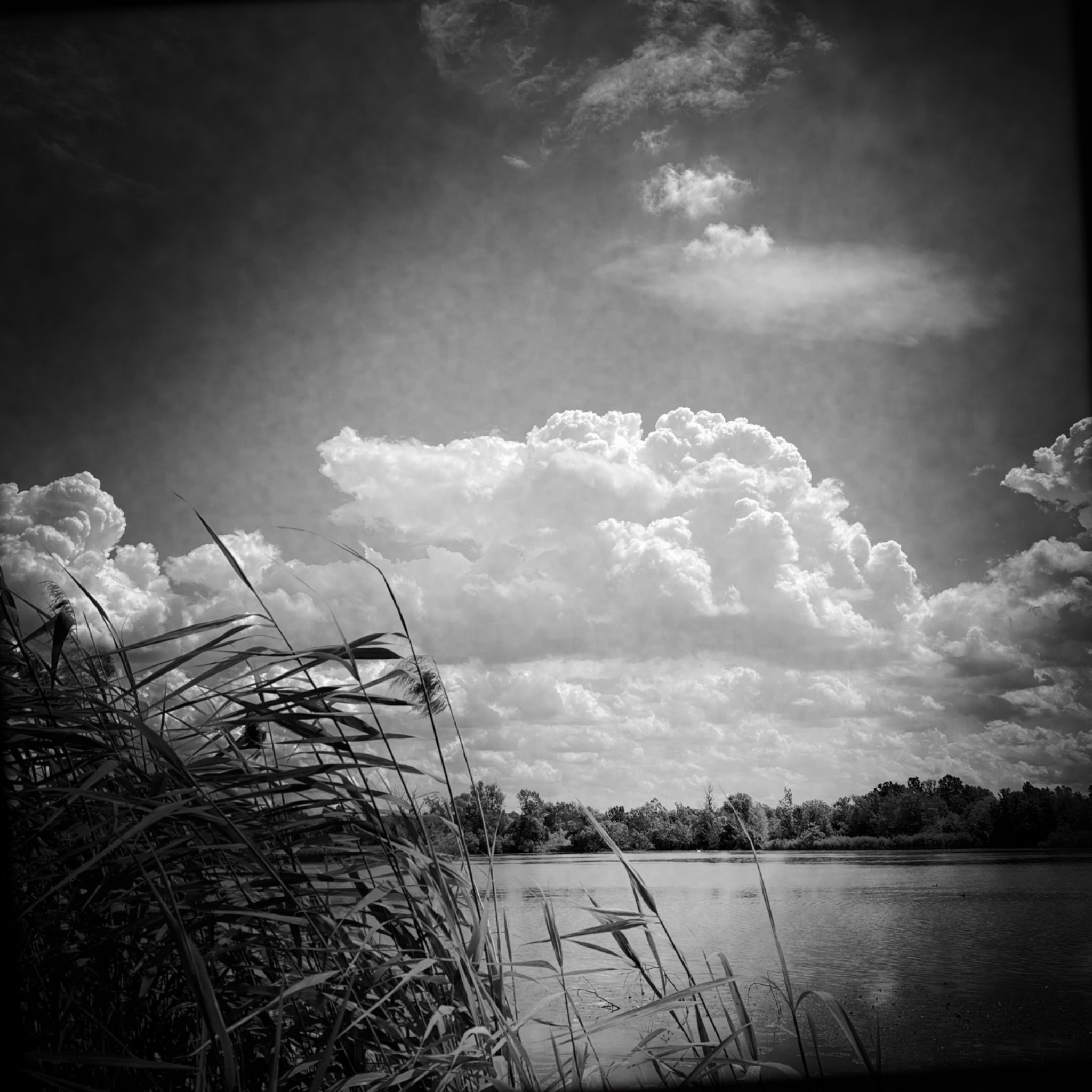 HMOriginal 015A7C79 79A3 4D23 B9D2 FDABCC100C44