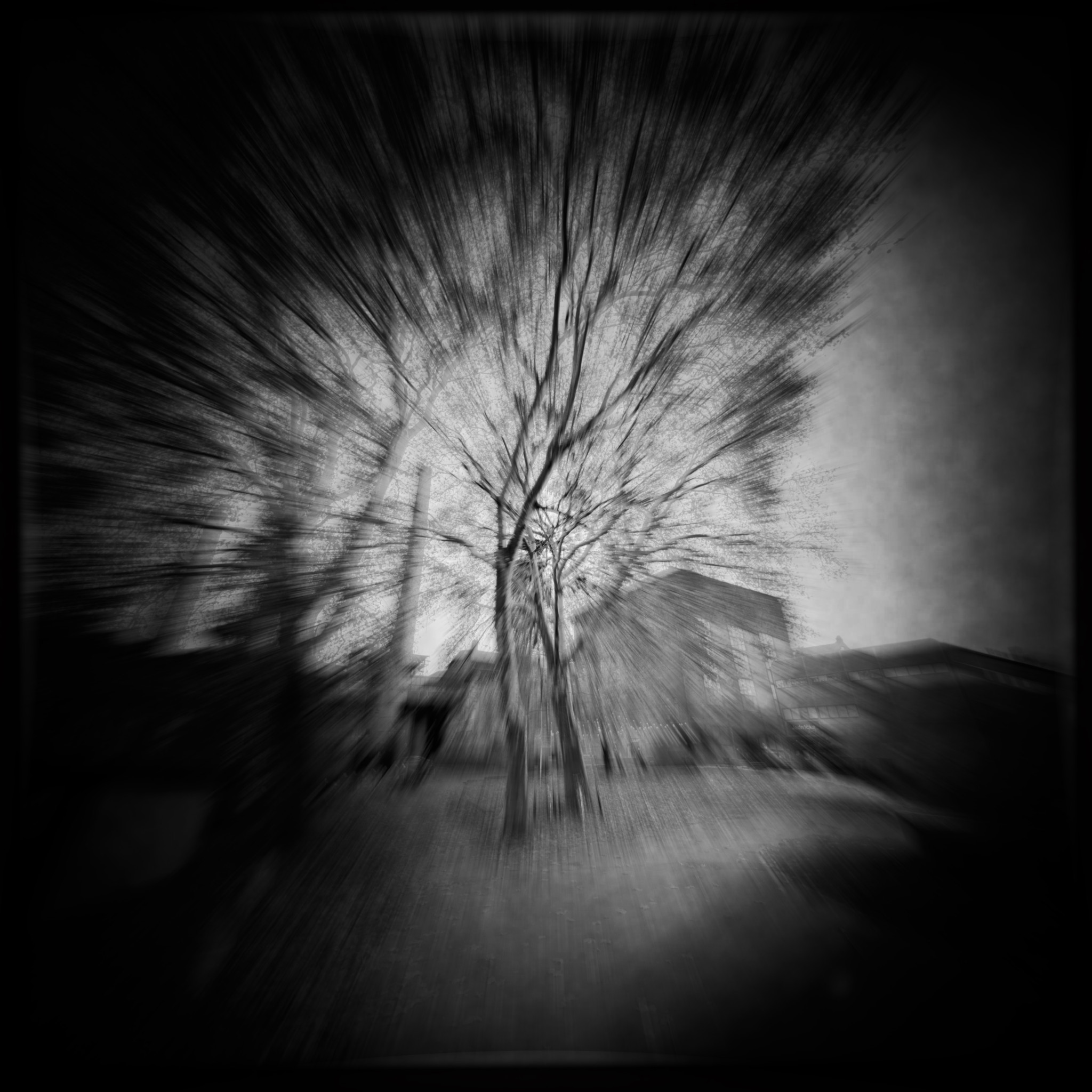 HMOriginal 036F4112 23B1 4AA9 8813 2508C79D9713