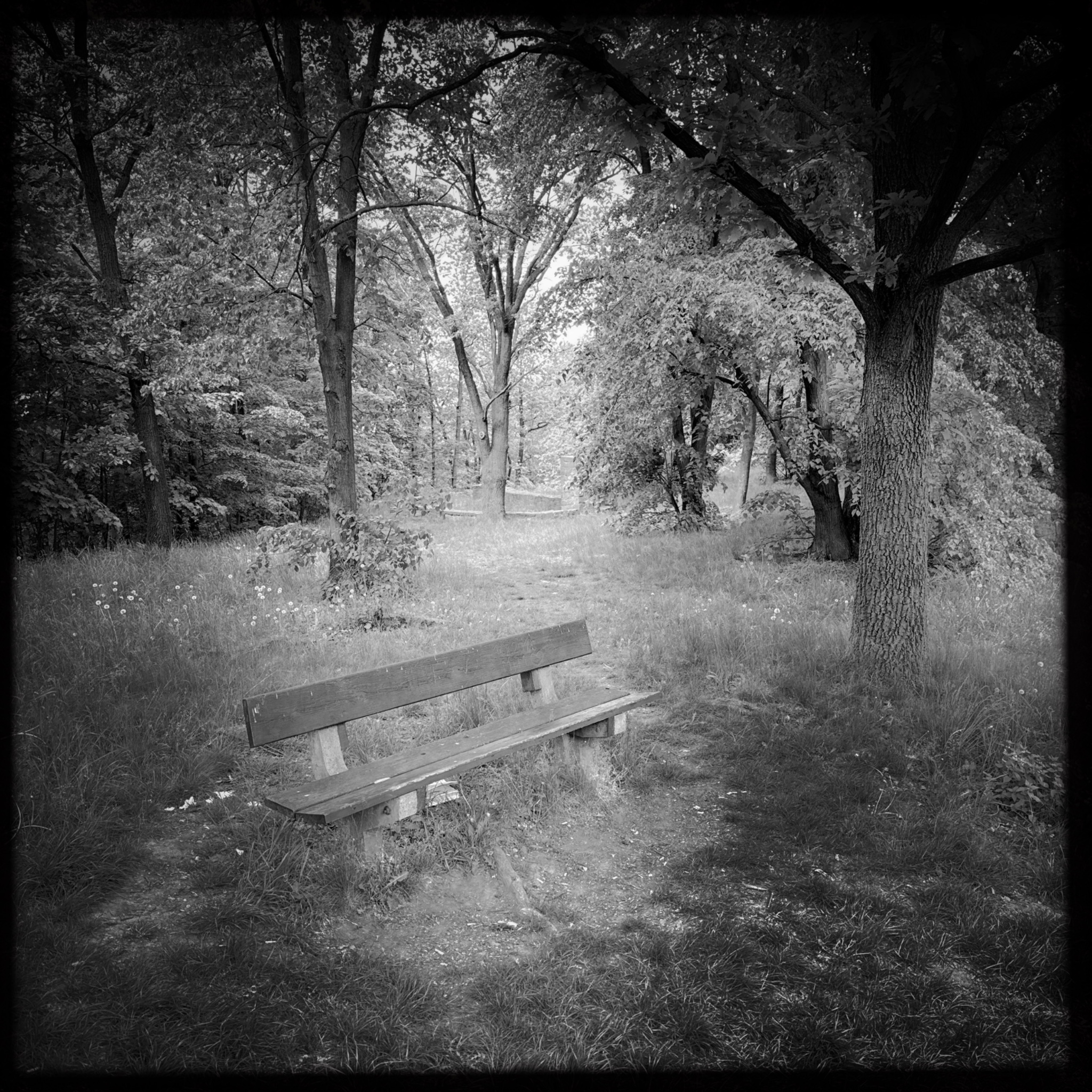 HMOriginal 03A1E125 43EF 4CA3 8261 CECF2F2D216E