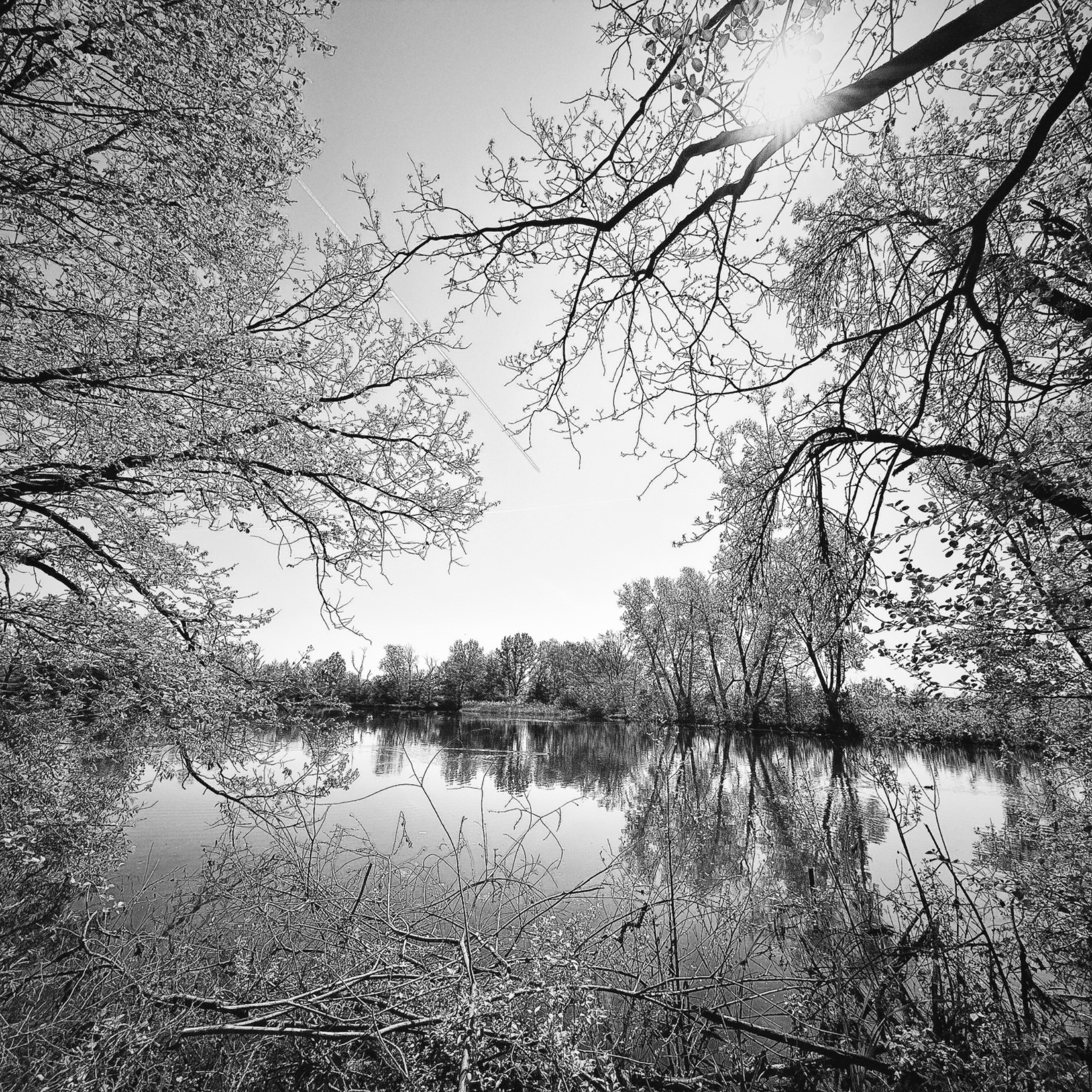 HMOriginal 07EC87C8 1D2A 48D8 BBB3 B0CADFA1BAE7