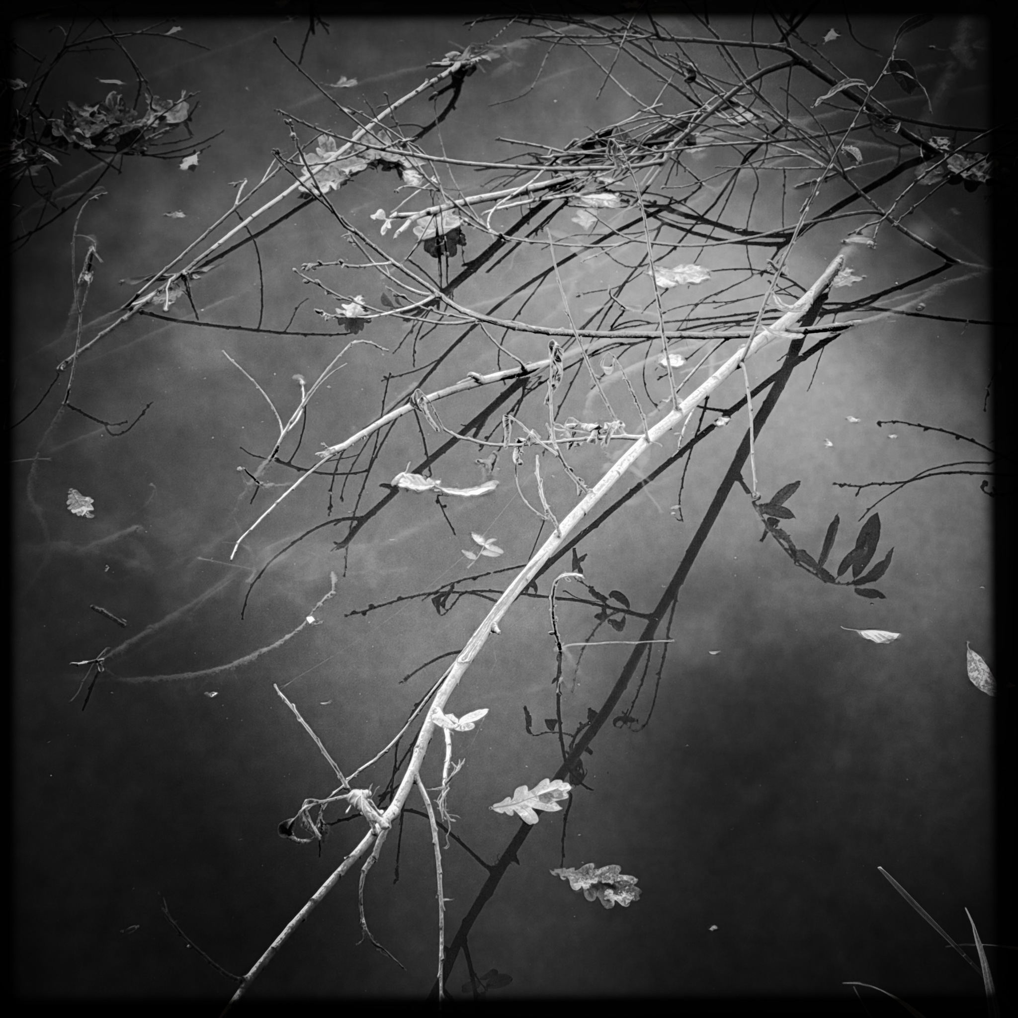 HMOriginal 08C0F647 AF63 41C9 8436 8D61B86035D9