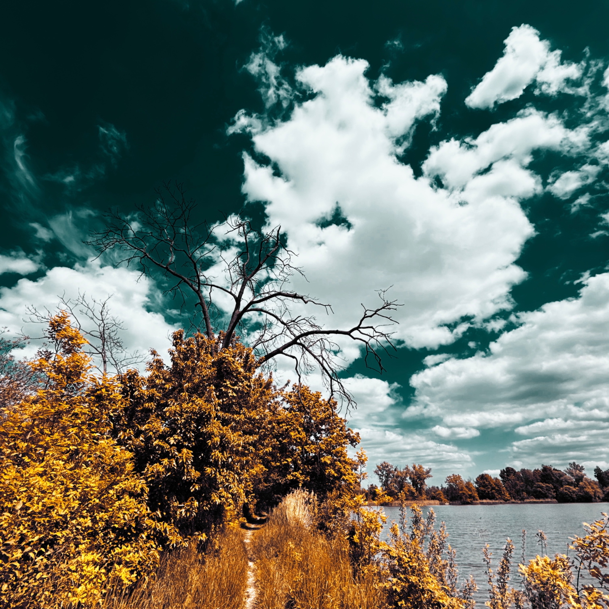 HMOriginal 0A96DC89 8B13 423E AA98 09265D6A3173