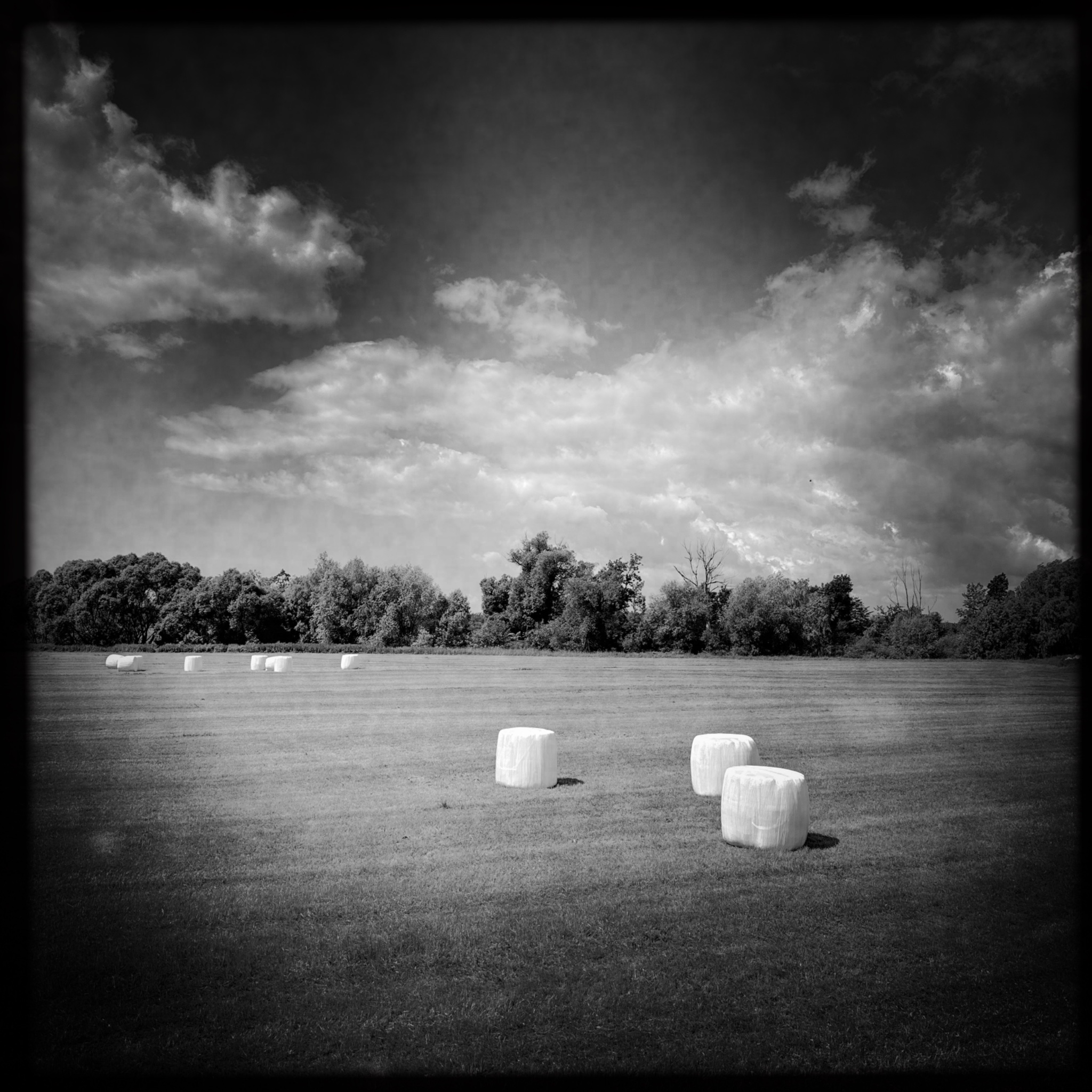 HMOriginal 0DF5318B 54D6 4A6C A82D 8C4CDA09A5E2