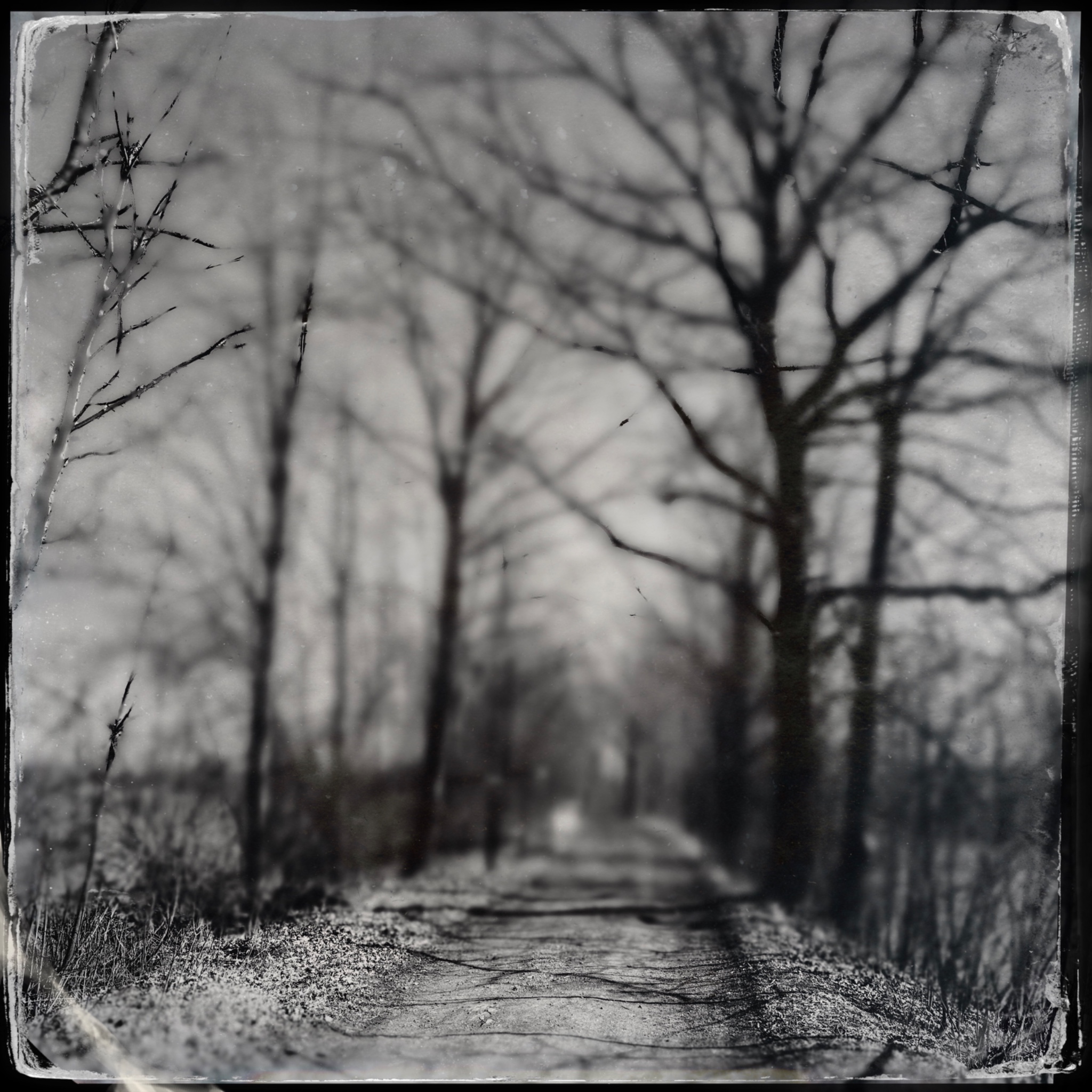 HMOriginal 0EC141A6 7918 4B3E 8976 4B12B1493C19