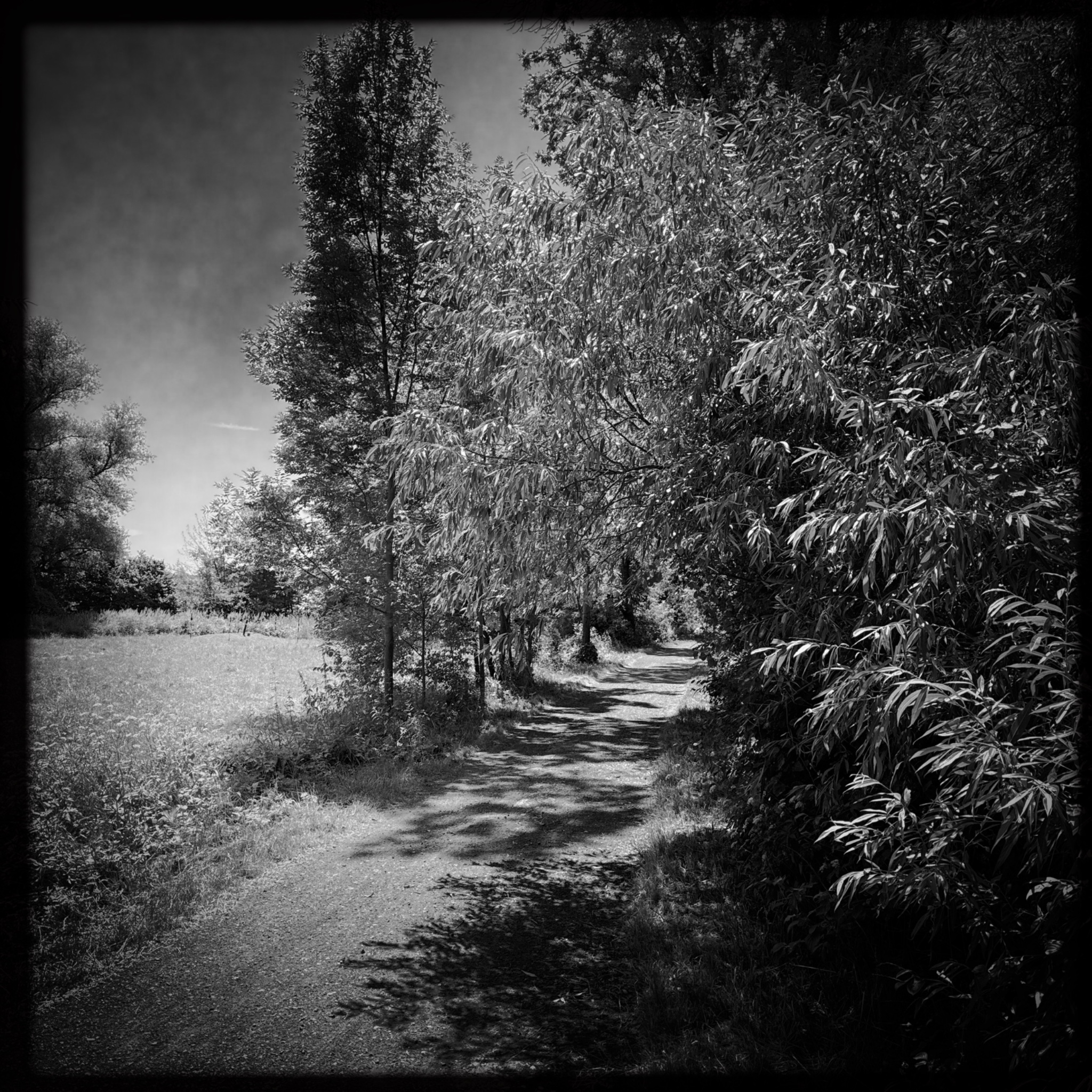 HMOriginal 10262683 6FDA 43D6 9B07 27F569F8C6DC