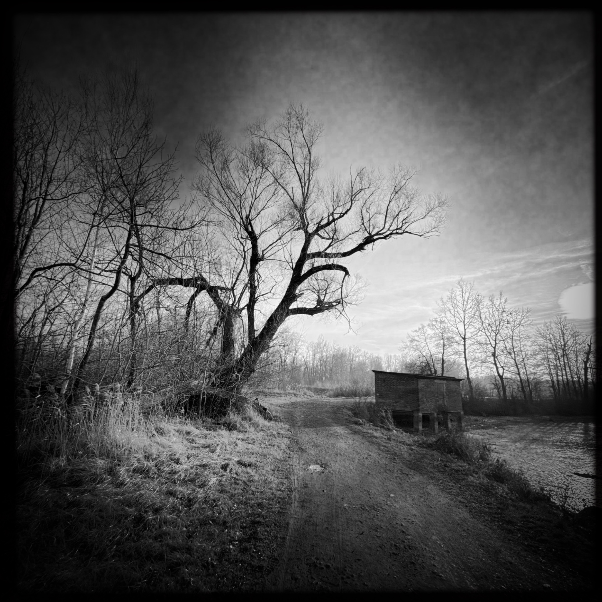 HMOriginal 103DD431 EA62 40A0 90EA 690B73029E67