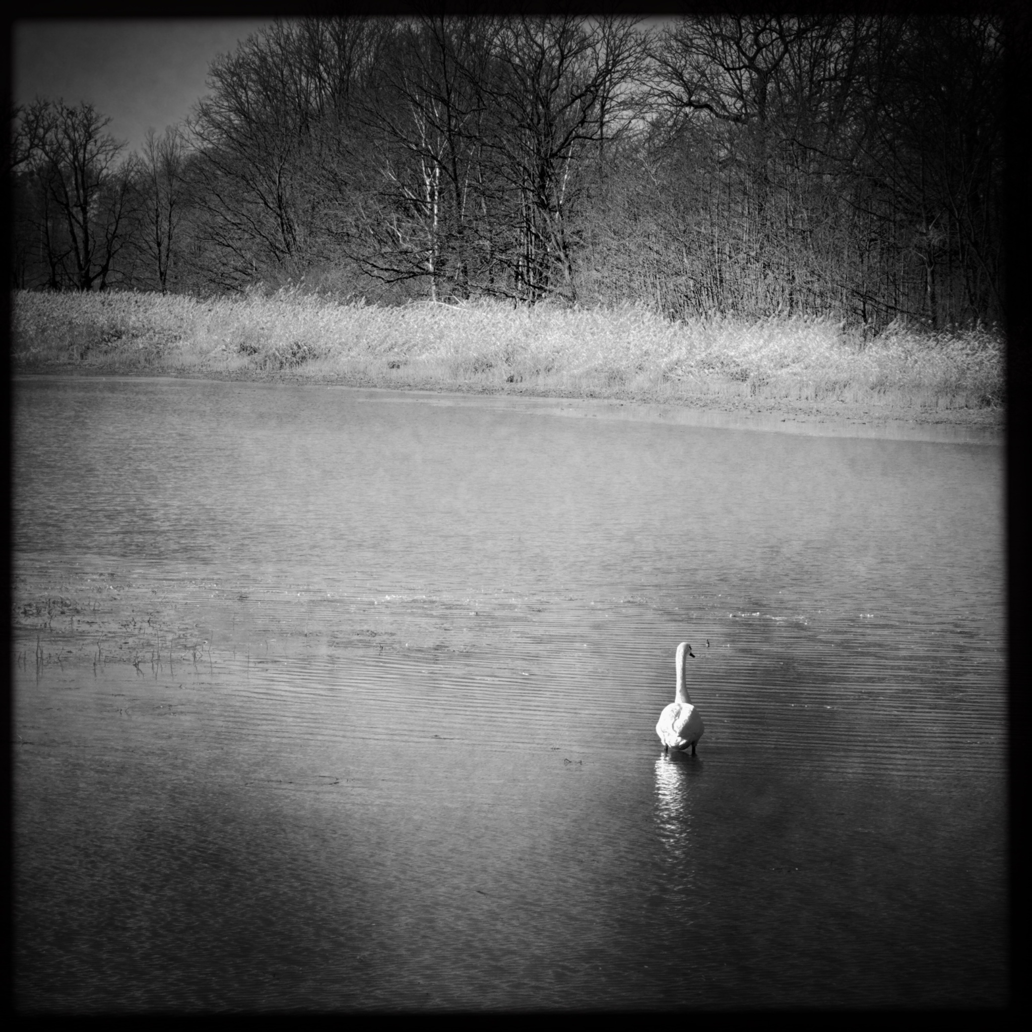 HMOriginal 1041D9A6 7935 4142 AF15 E6764628B761