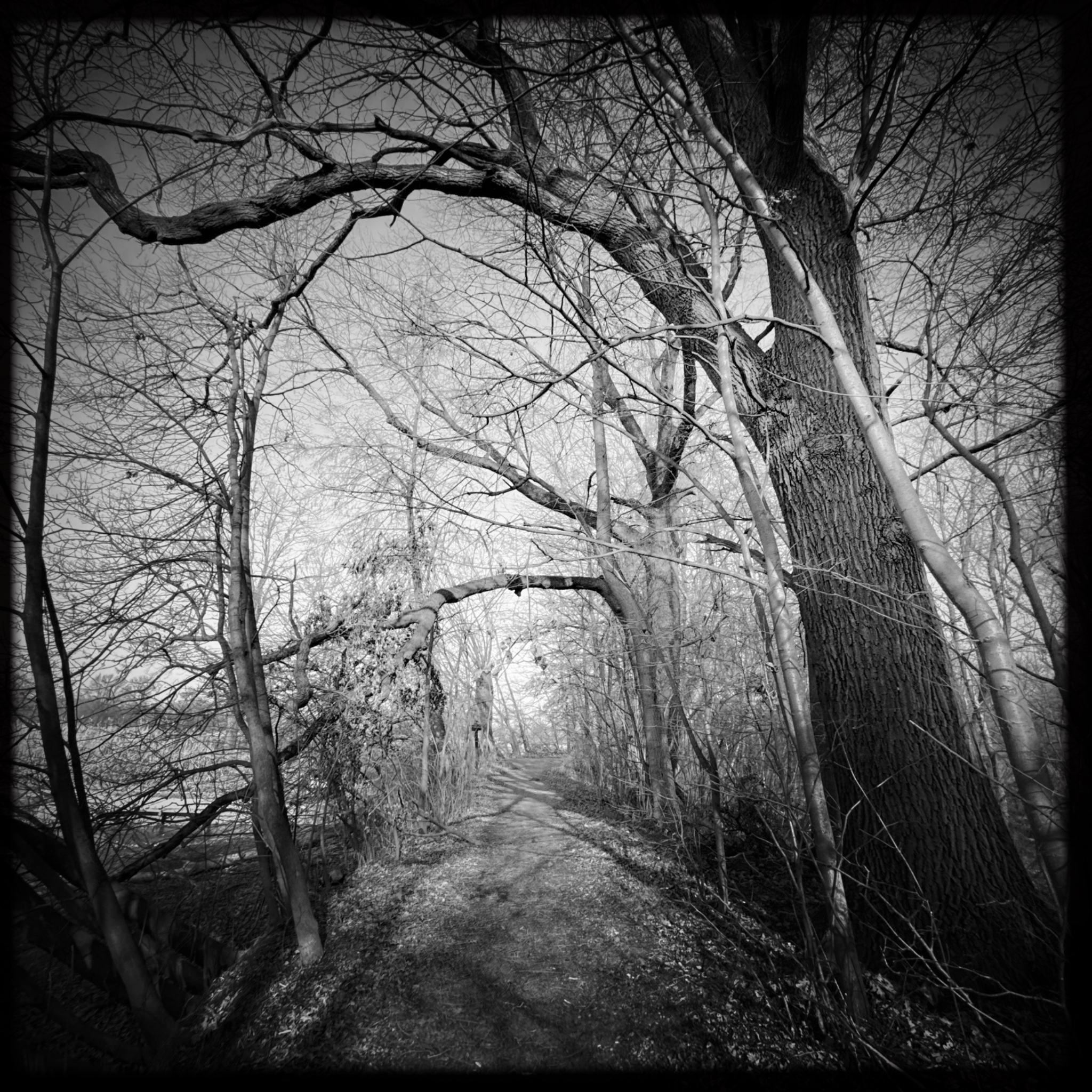 HMOriginal 10B89B99 942E 45BA 9E8B C6D52C31A952