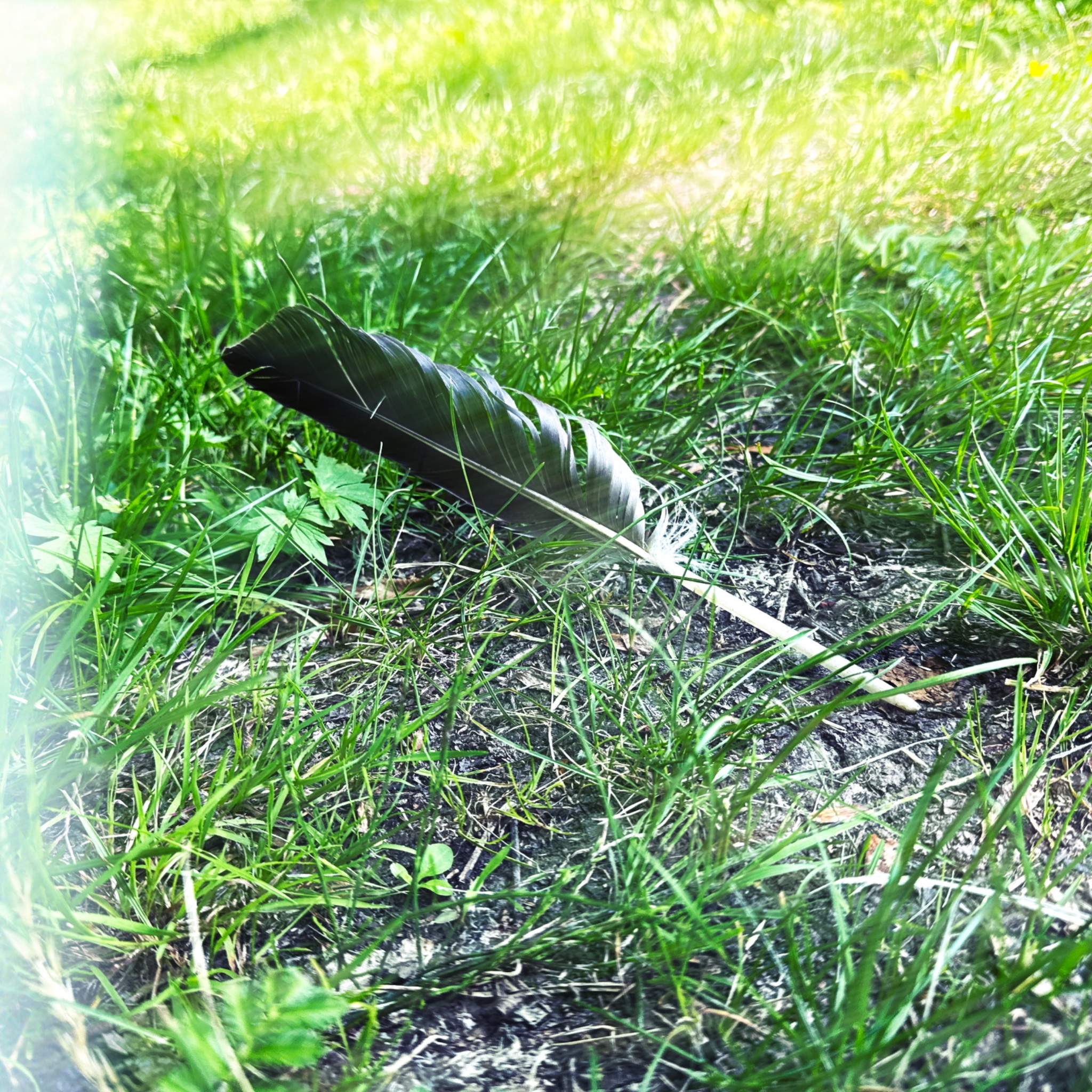 HMOriginal 11B5A0D6 8C5B 4DC2 B7EF DD8CBD104B53