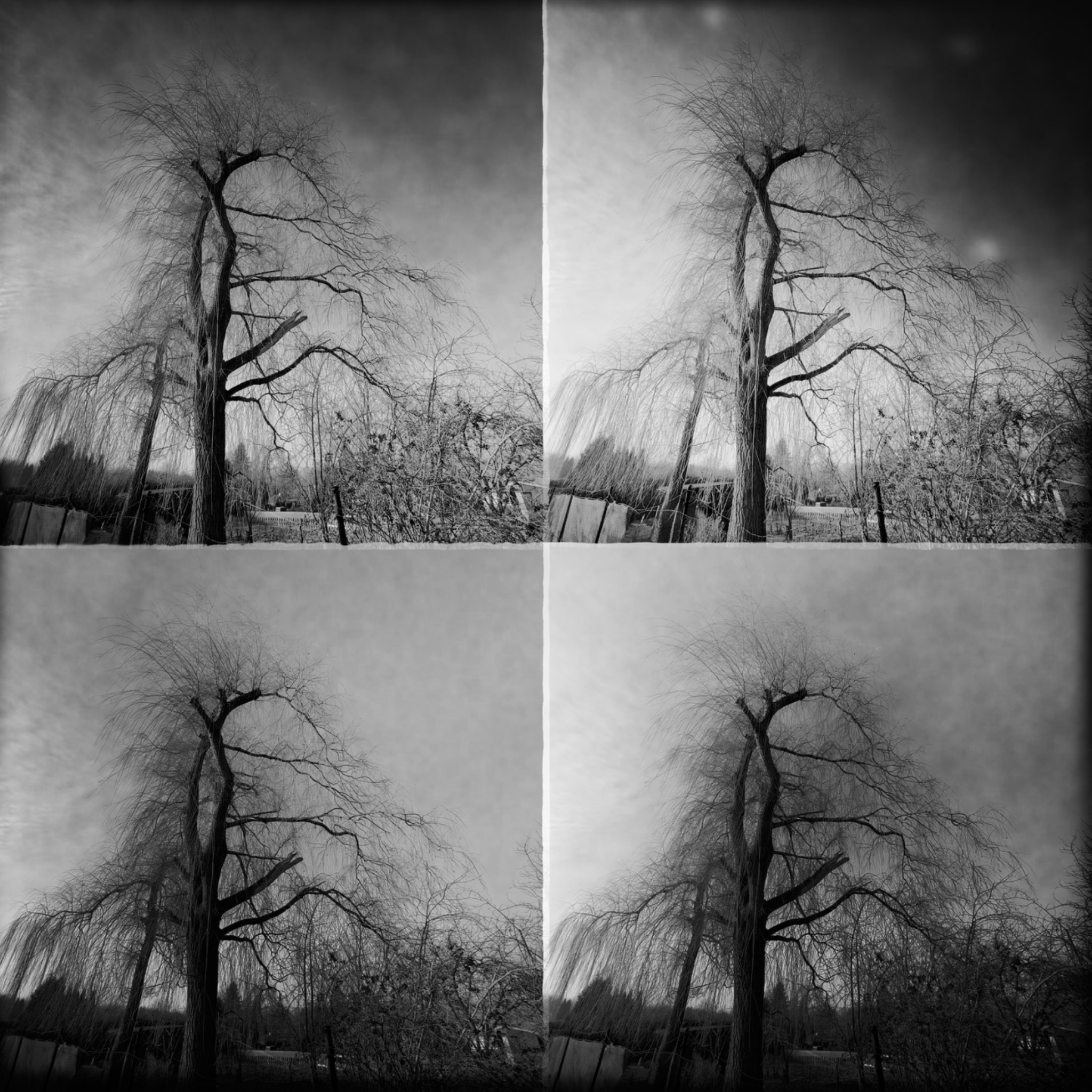 HMOriginal 11C1ABF4 7310 4B6C 9E7E 85145CE48CD0