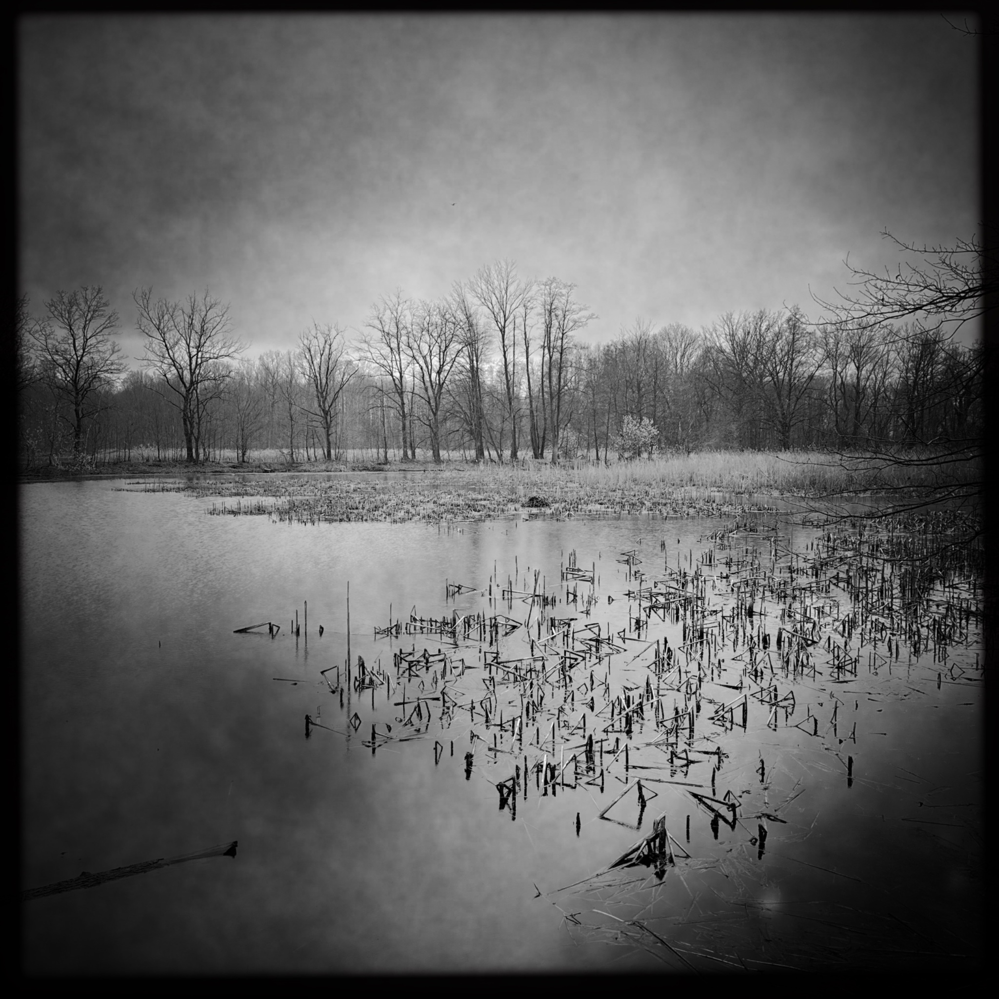 HMOriginal 11D7B6B0 122B 4913 AD77 3B71D4FE4B38