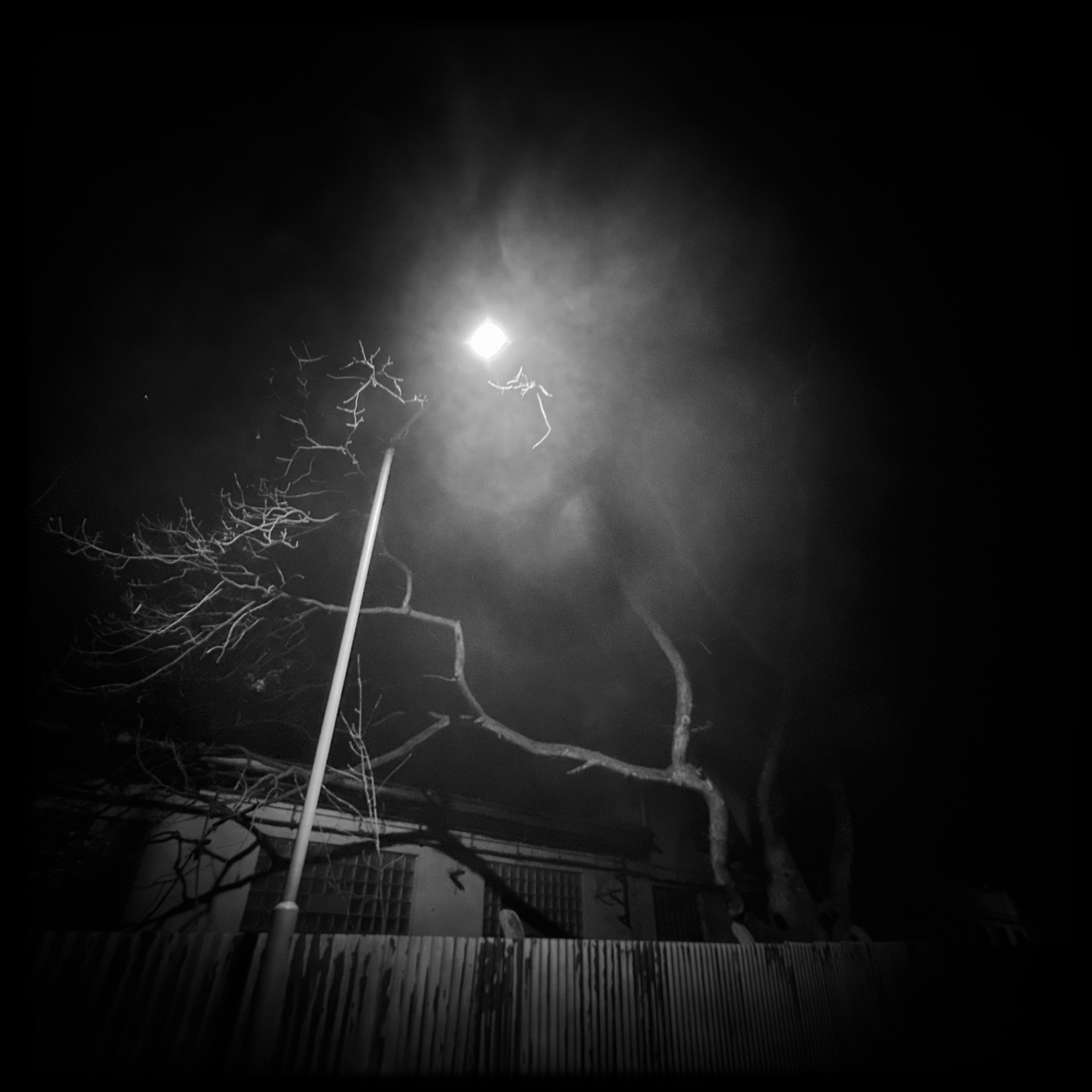 HMOriginal 14059A3E 5B04 4735 AD5C 25FF4BC948C4