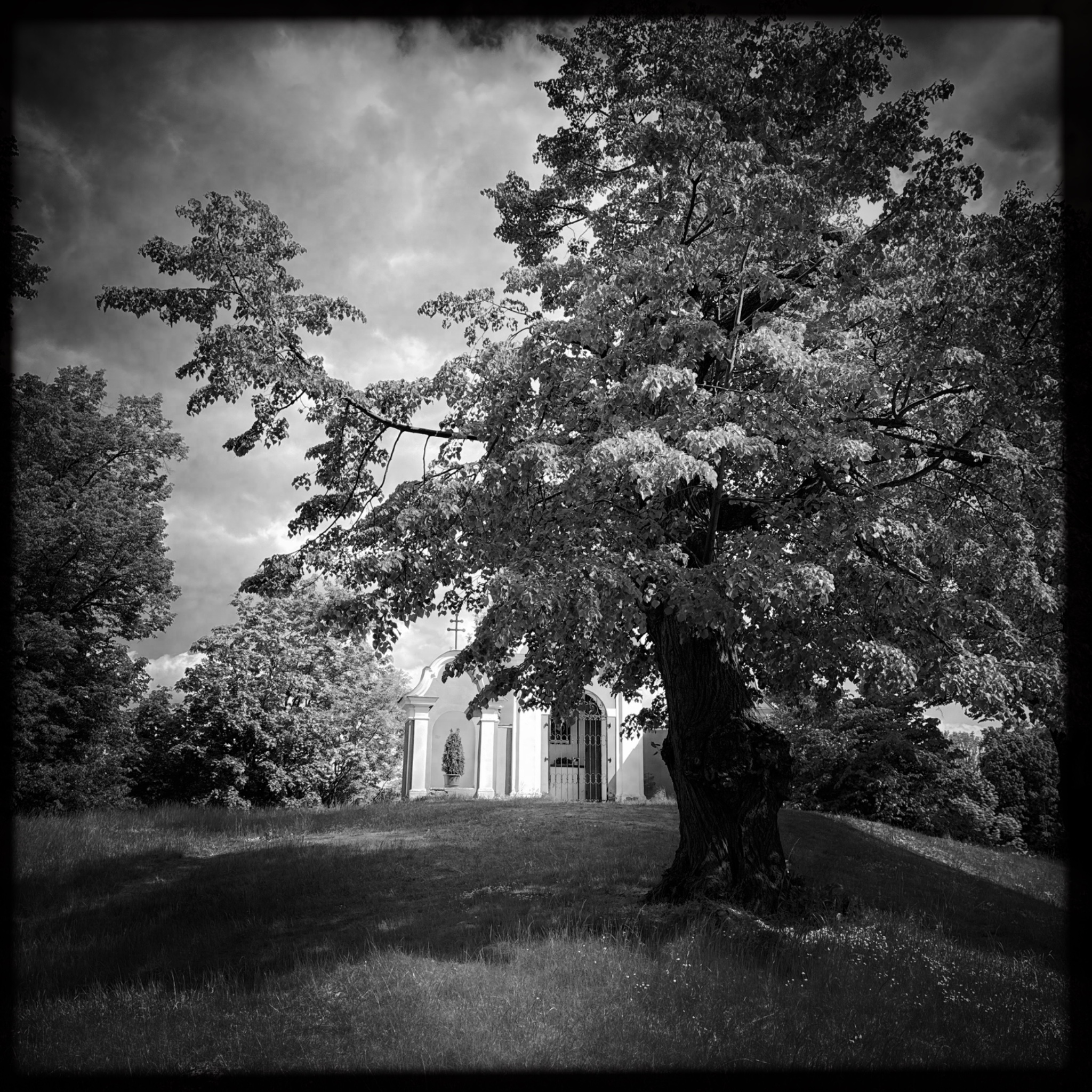 HMOriginal 15AD2C17 CB63 4C60 AF33 12A6C08ADB61