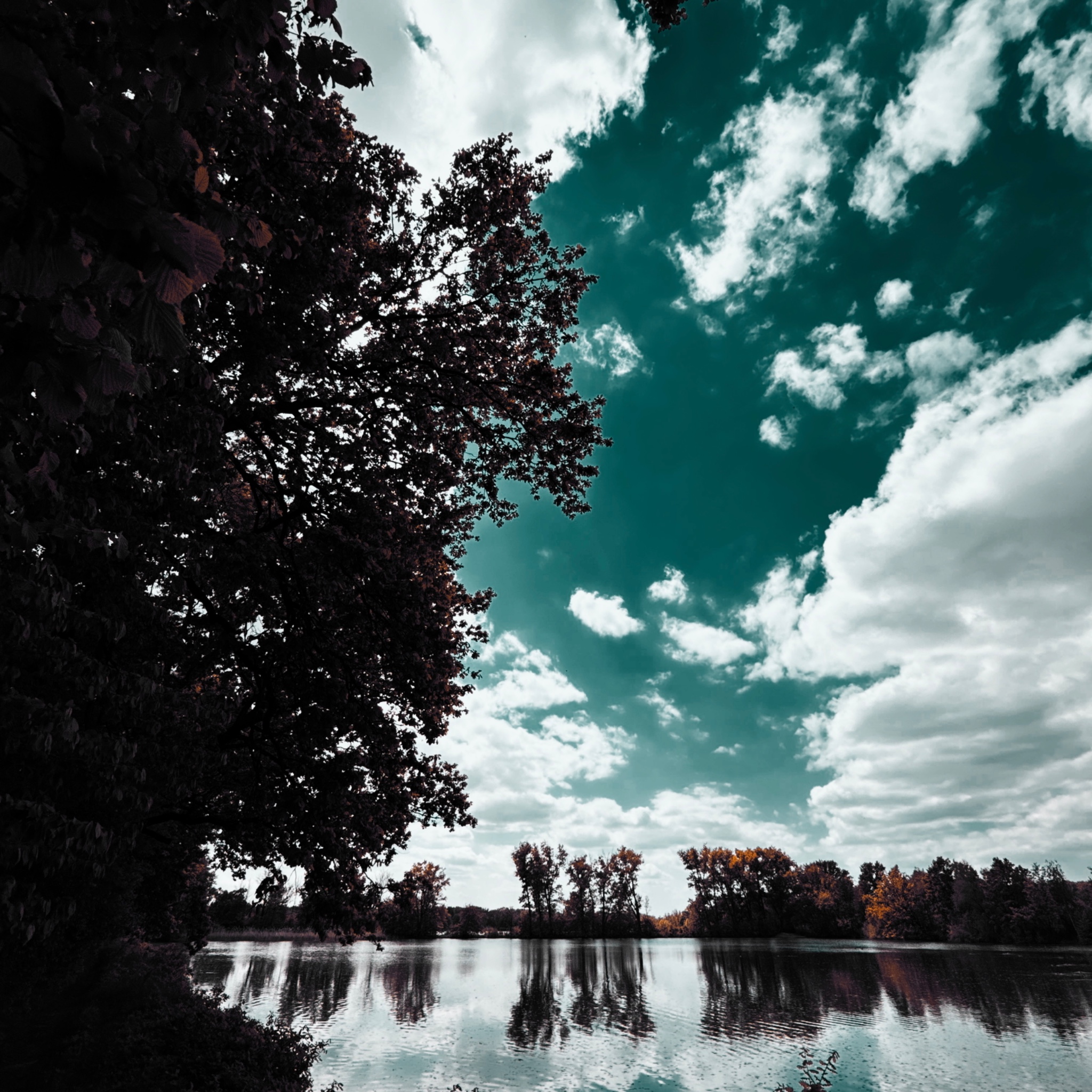 HMOriginal 15FDAF83 CA47 4D55 B82F 4C44C2D92956