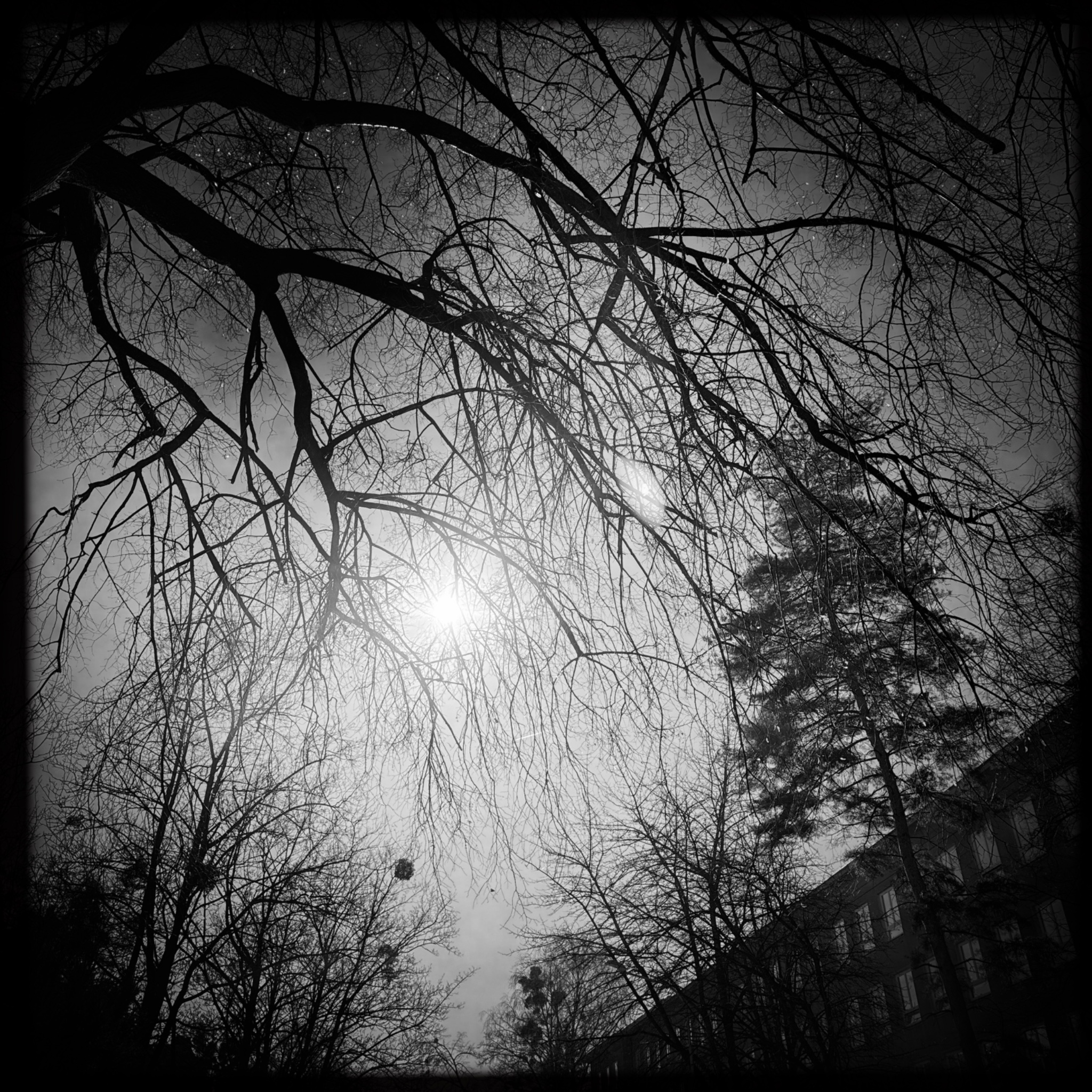 HMOriginal 1743F9CD 17FB 4DDA 8796 D7D5B82EDEB8