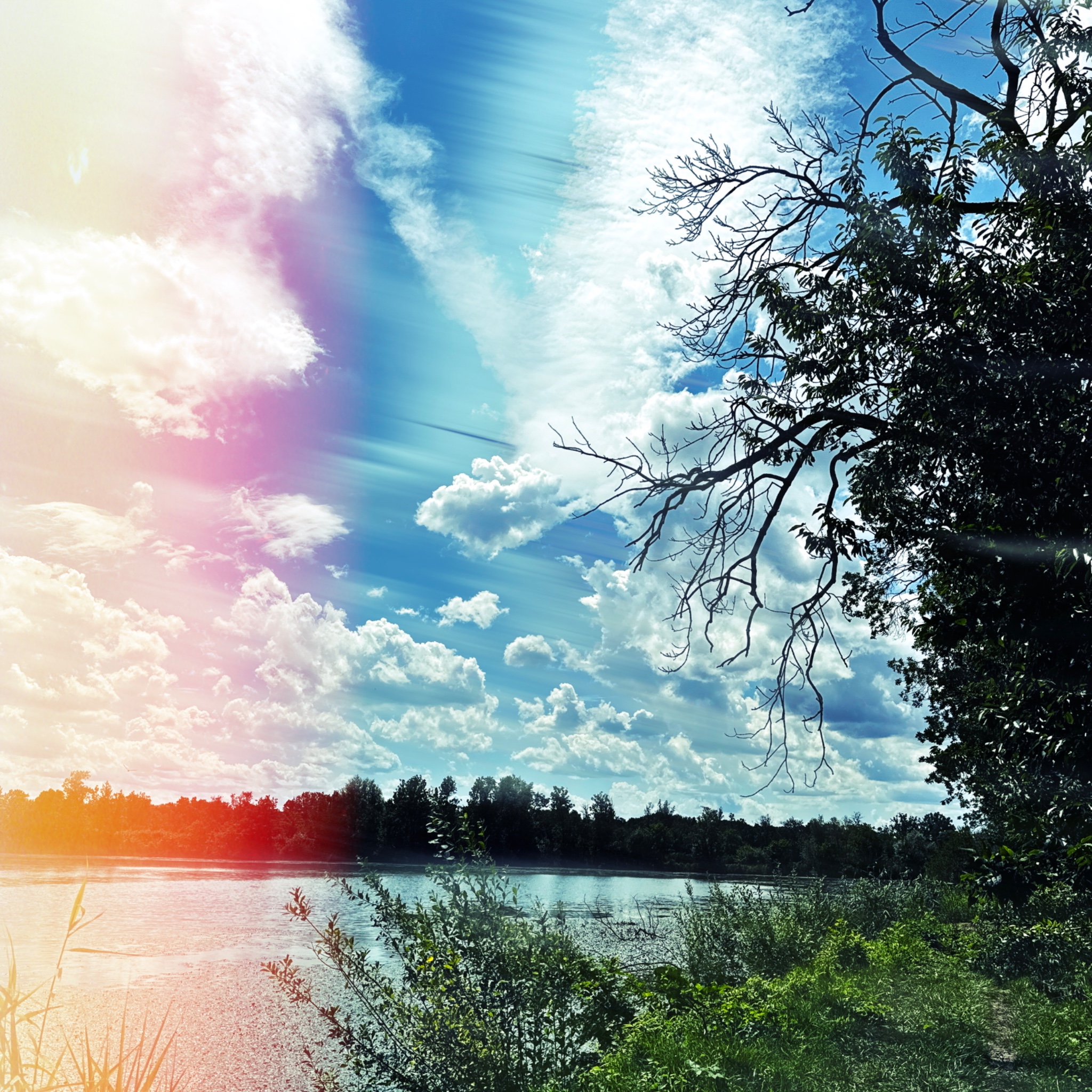 HMOriginal 17EC65FD 3648 48D6 A3FC 6F747BED4C7B