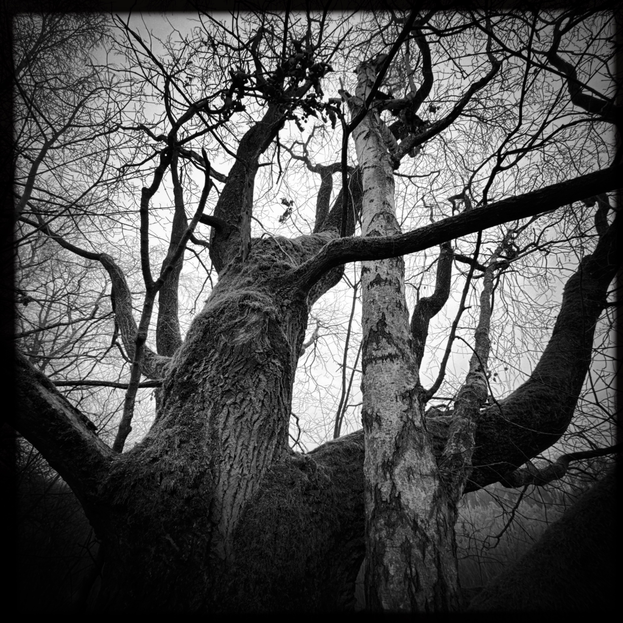 HMOriginal 1B199FAA 853A 4BD6 8177 F7844A10FCC9