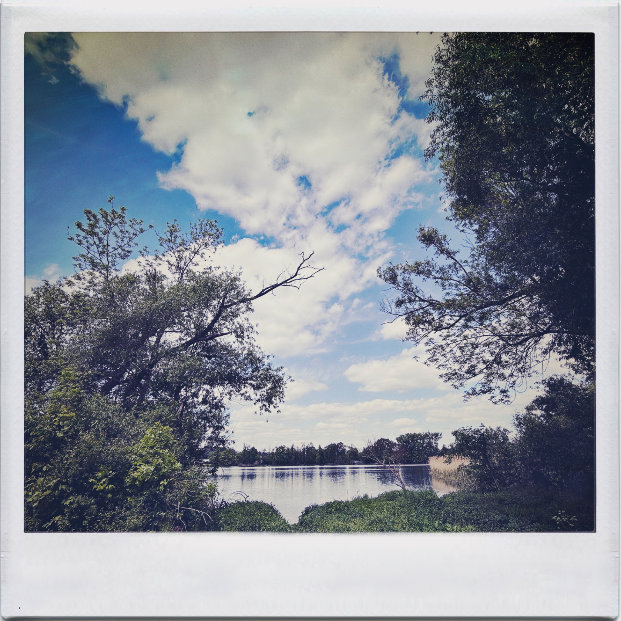 HMOriginal 1C1DAB0D 91E8 4501 83BF B601920CA979