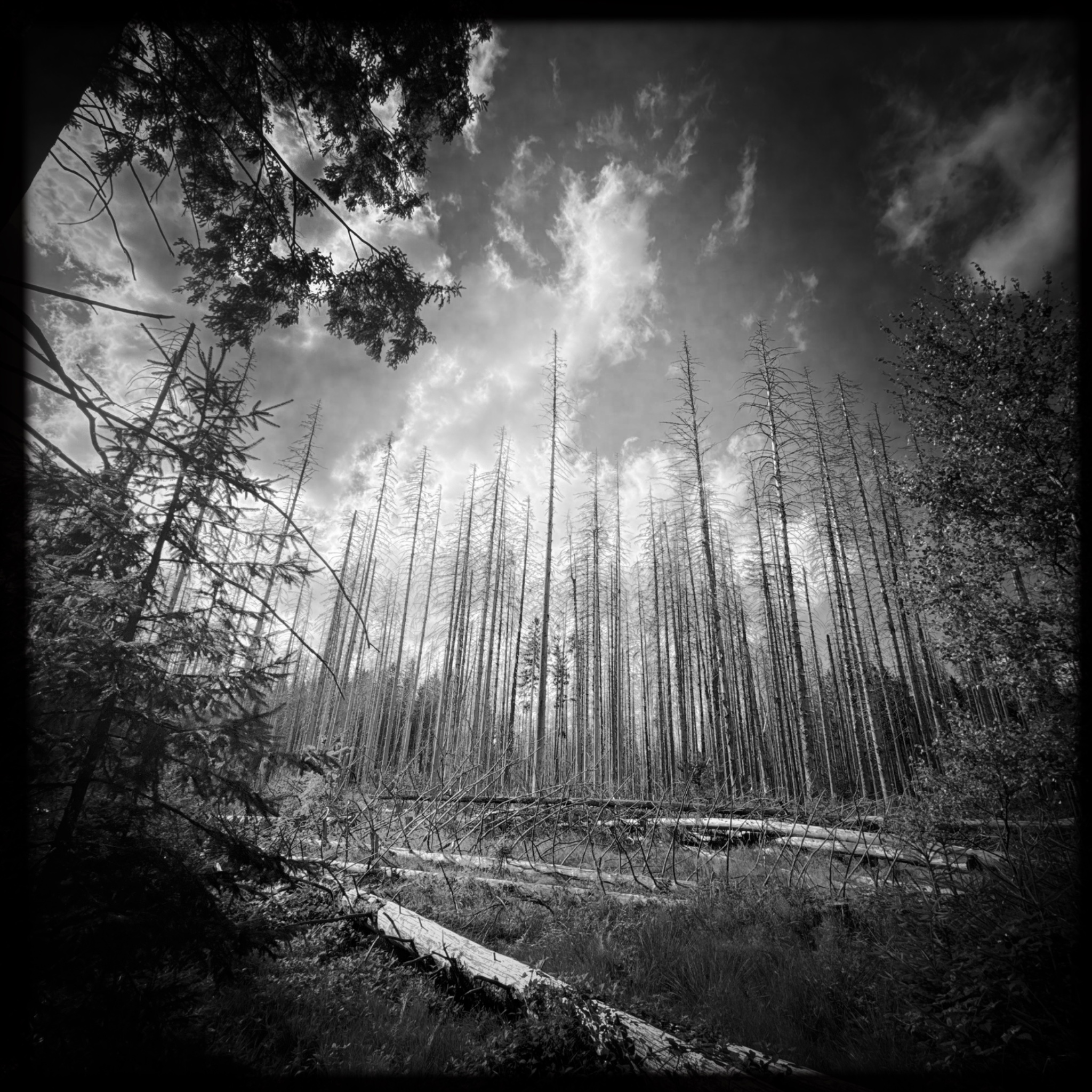 HMOriginal 1CD9740F FE11 4235 8B76 A7263CB95F79