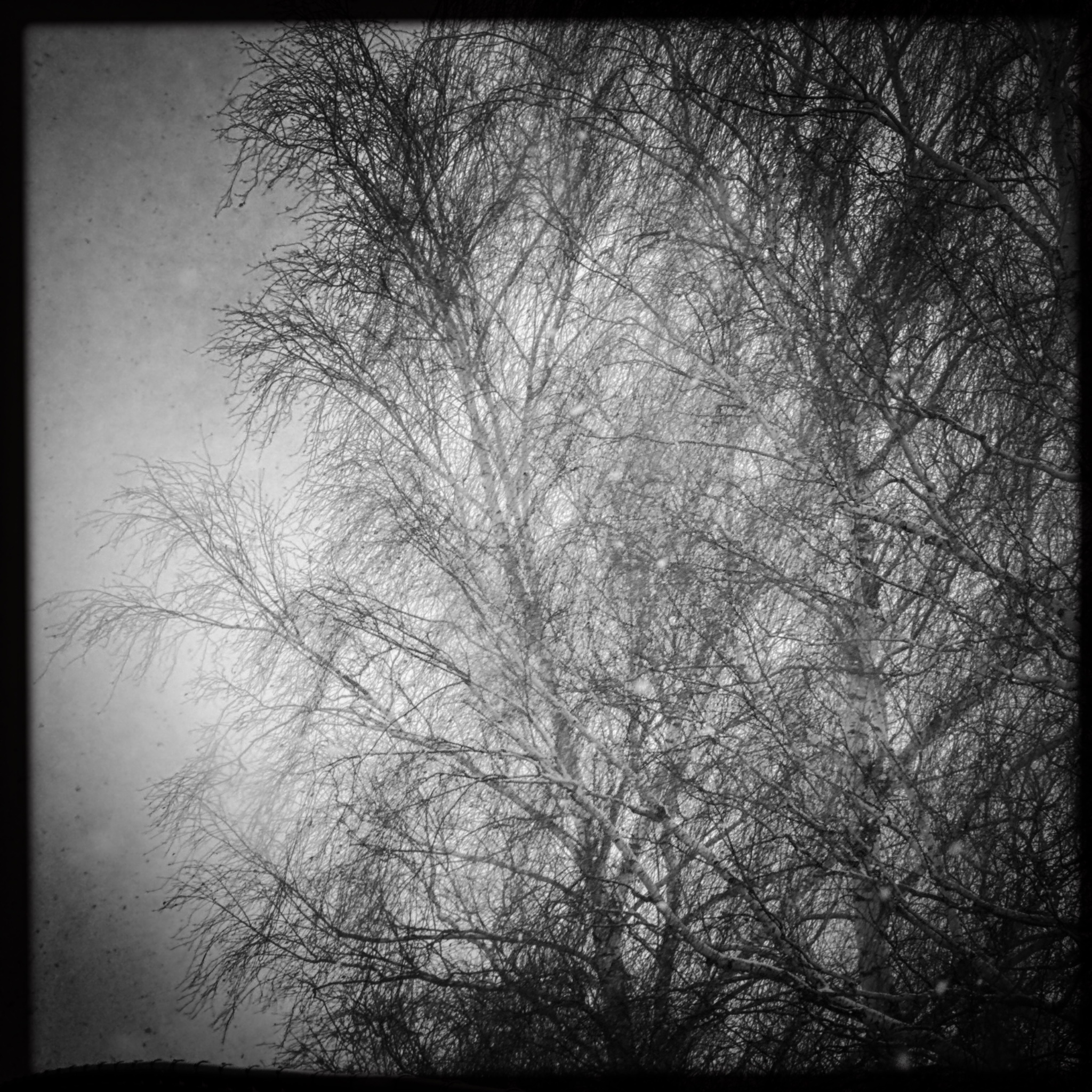 HMOriginal 1E86BD37 2D02 43B7 9CA3 29D879265AFD