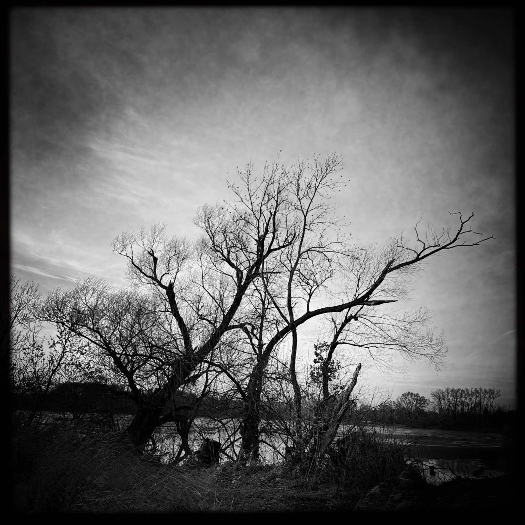 HMOriginal 1FEFB783 3F61 450E A45D E93D6D9DC2F1