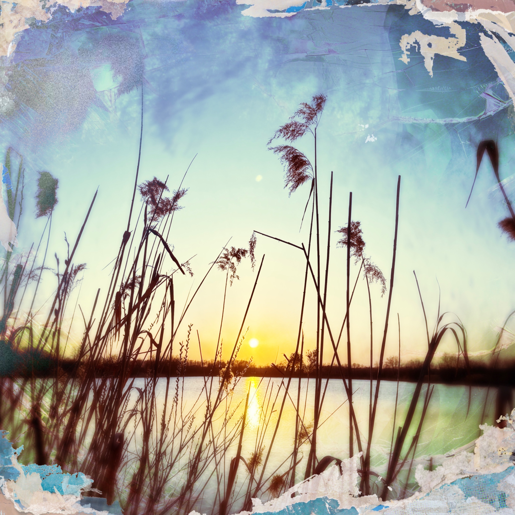 HMOriginal 23843267 84E2 4F6D A692 D882E0CB9FDD