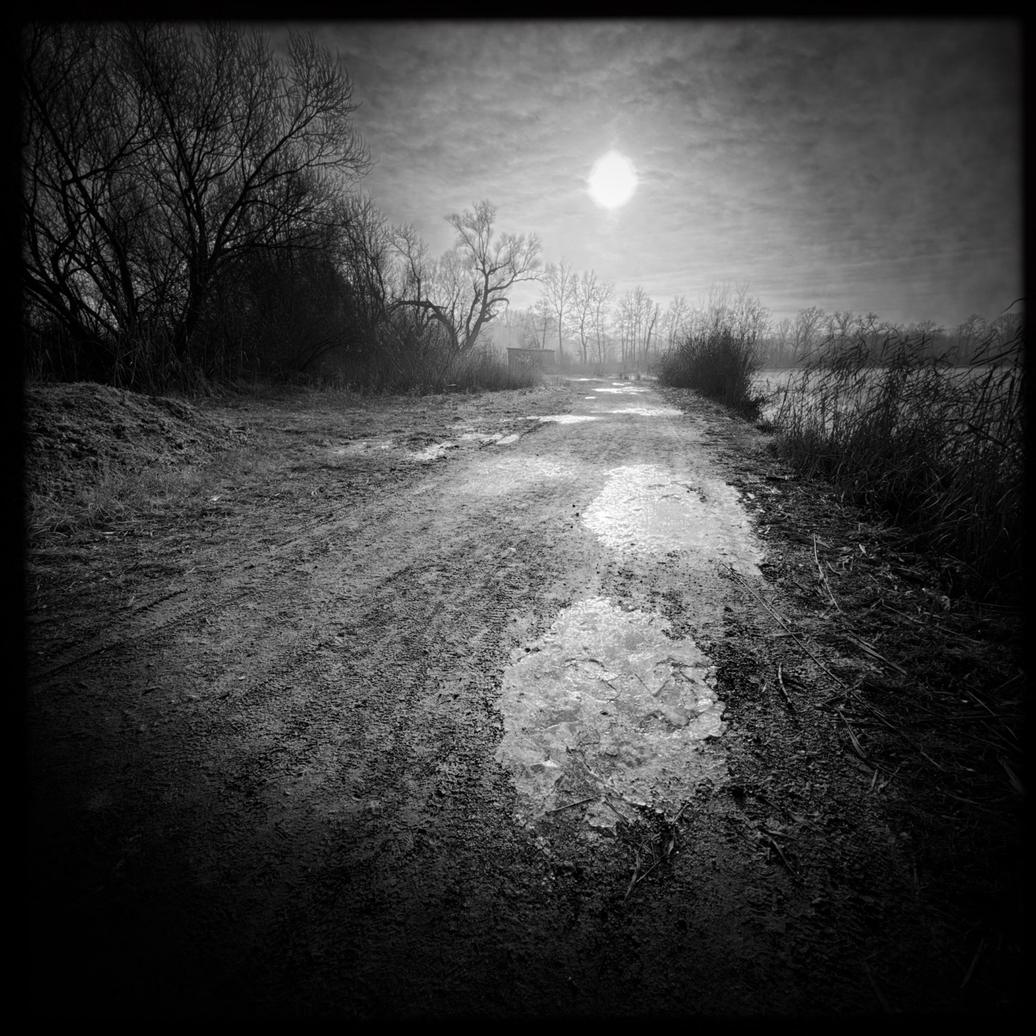 HMOriginal 26A9E319 0317 418C AAE5 AD5345923493