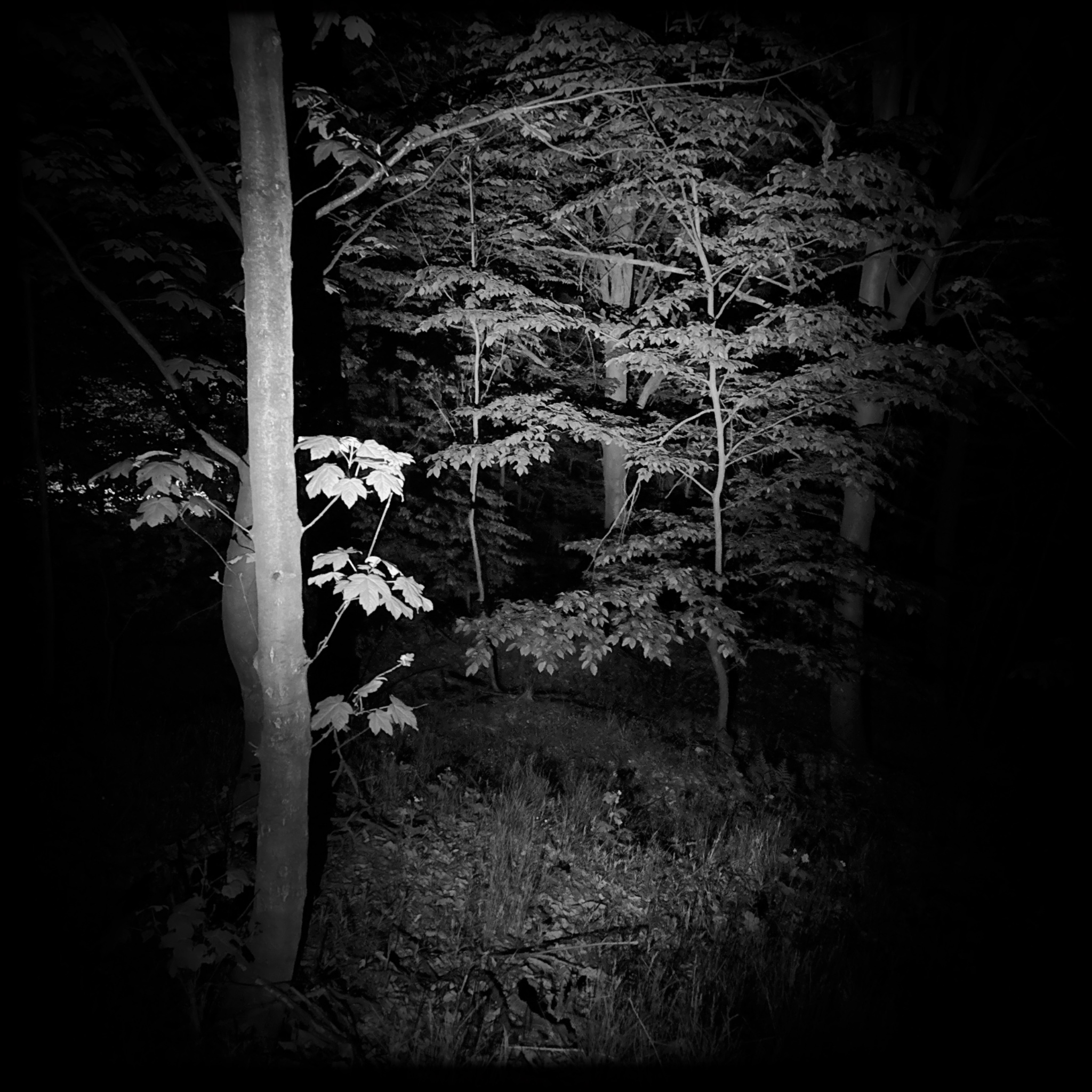 HMOriginal 27621C00 FA32 431E 9BA4 359EFE60844F