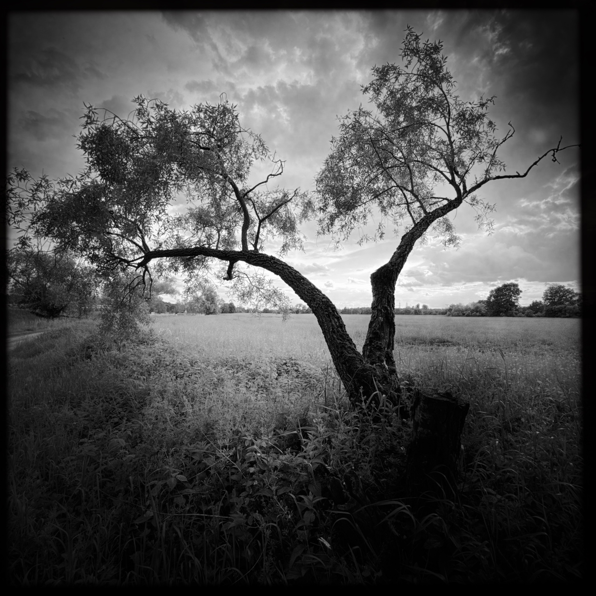 HMOriginal 27D5DC2A 57E7 498C BFB3 35F2DD78C5DA